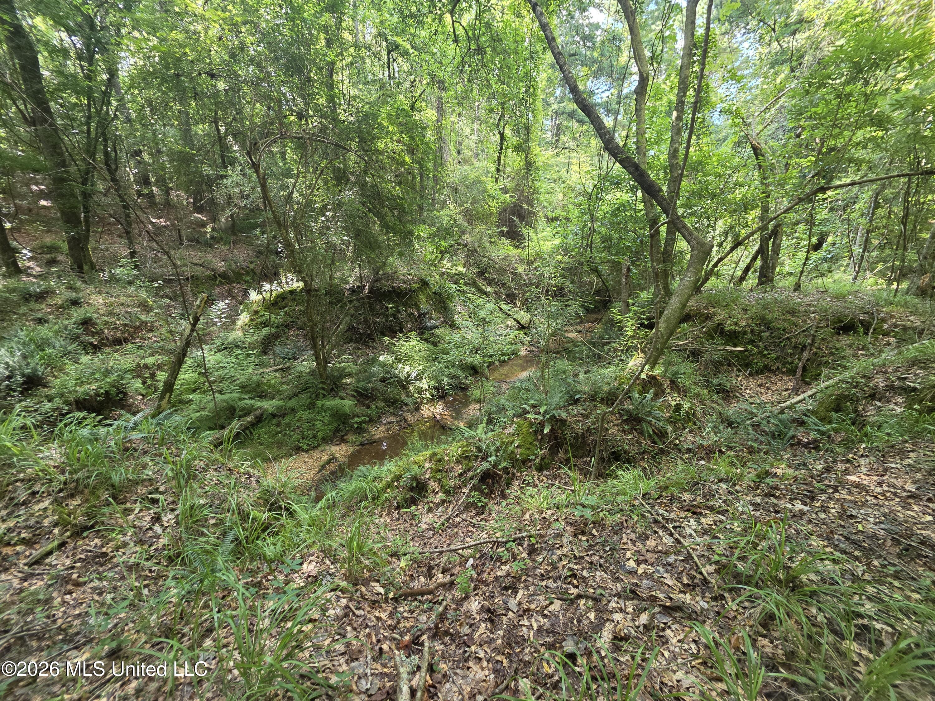 416 Summers Lane Property Photo 19