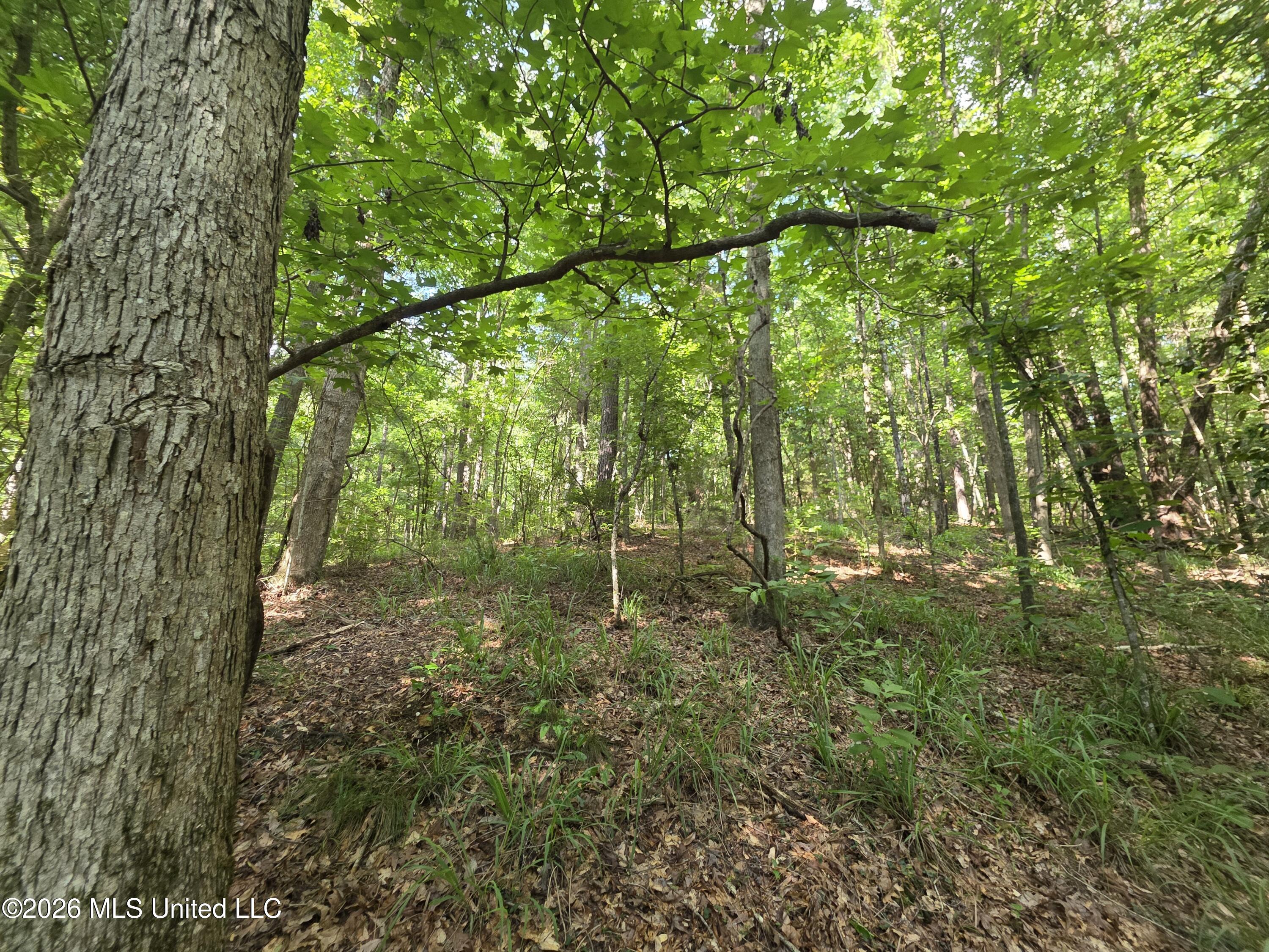 416 Summers Lane Property Photo 20