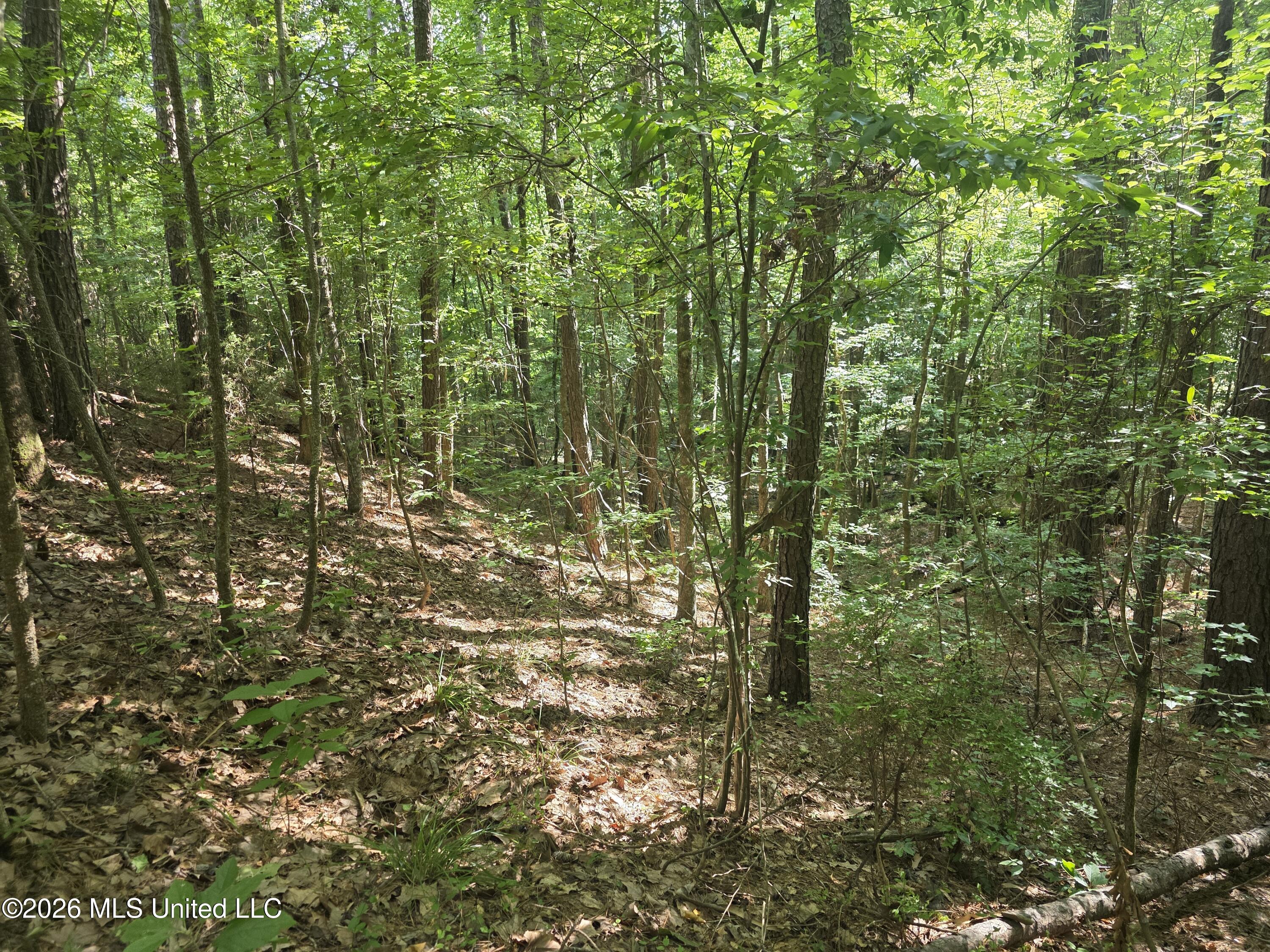 416 Summers Lane Property Photo 21