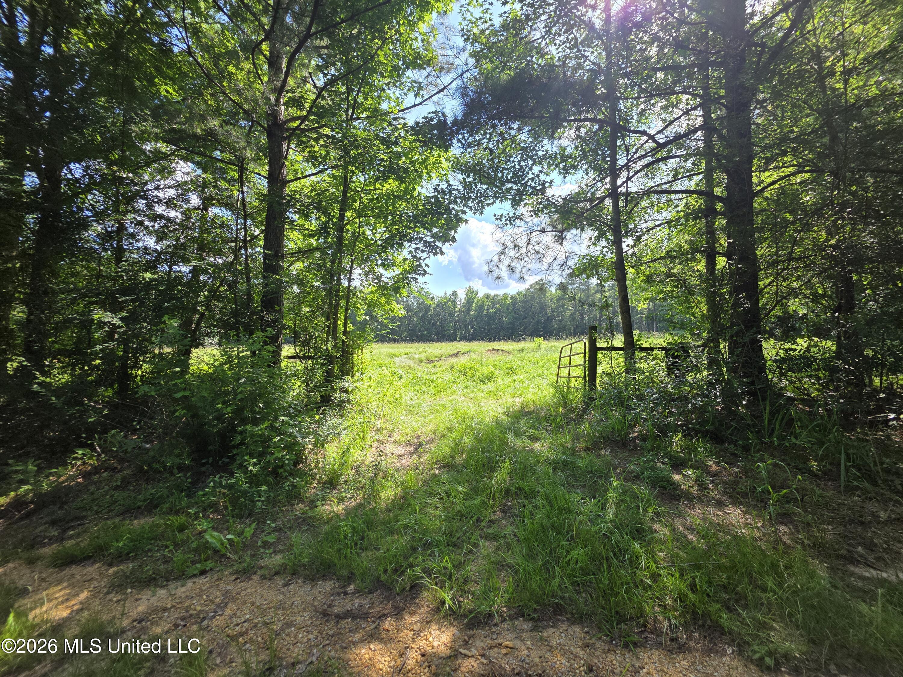 416 Summers Lane Property Photo 23