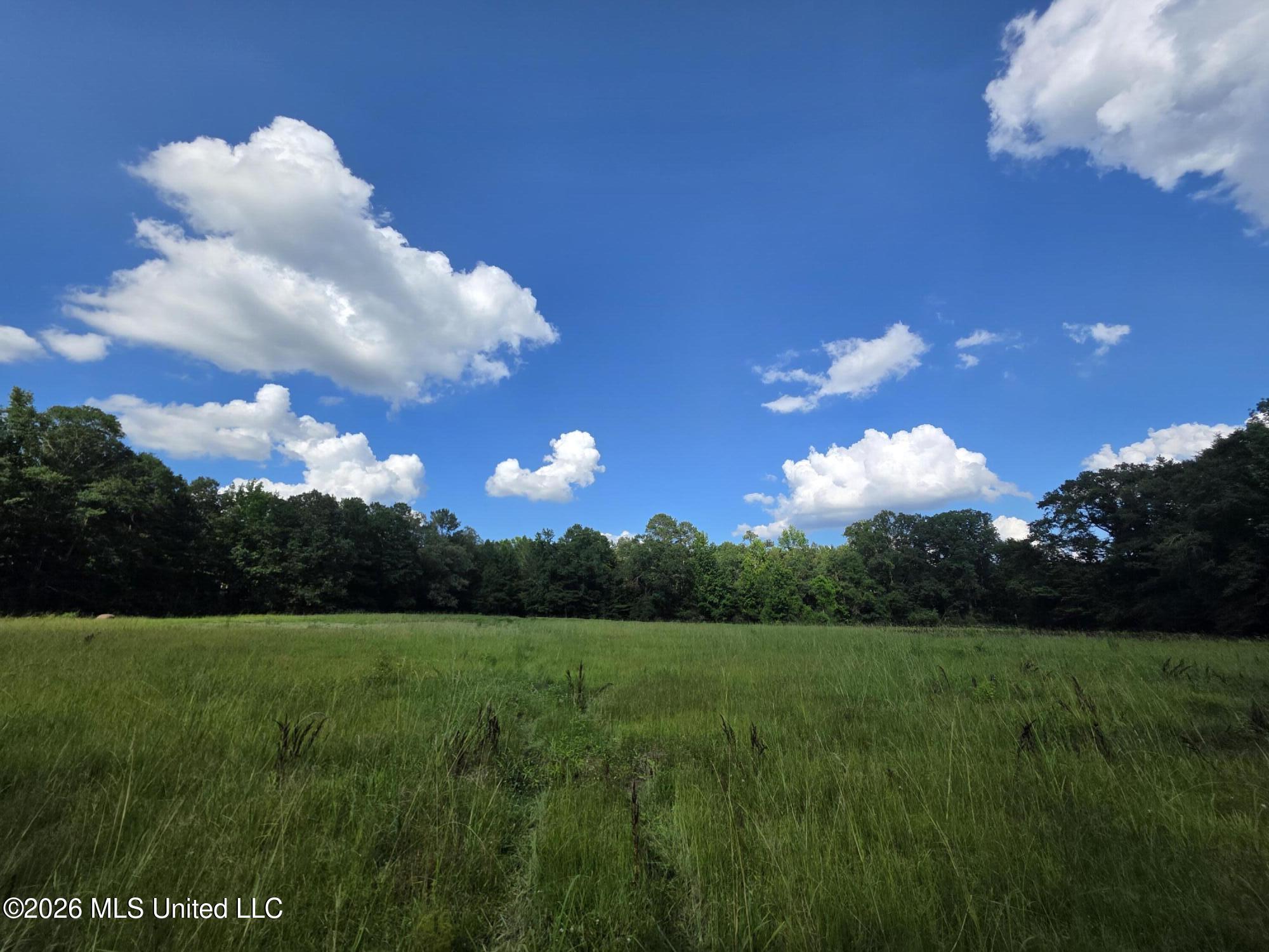 416 Summers Lane Property Photo 25