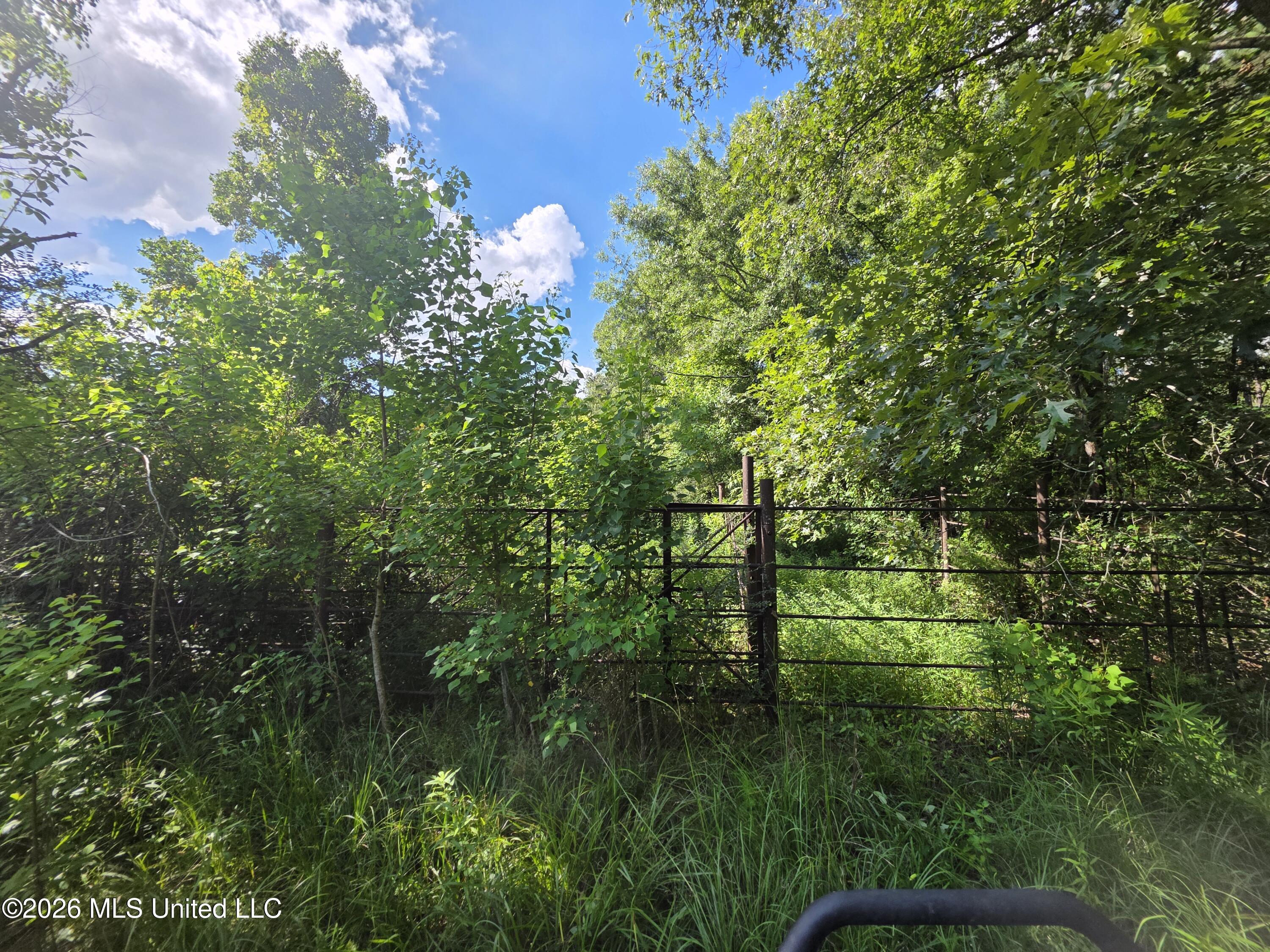 416 Summers Lane Property Photo 26
