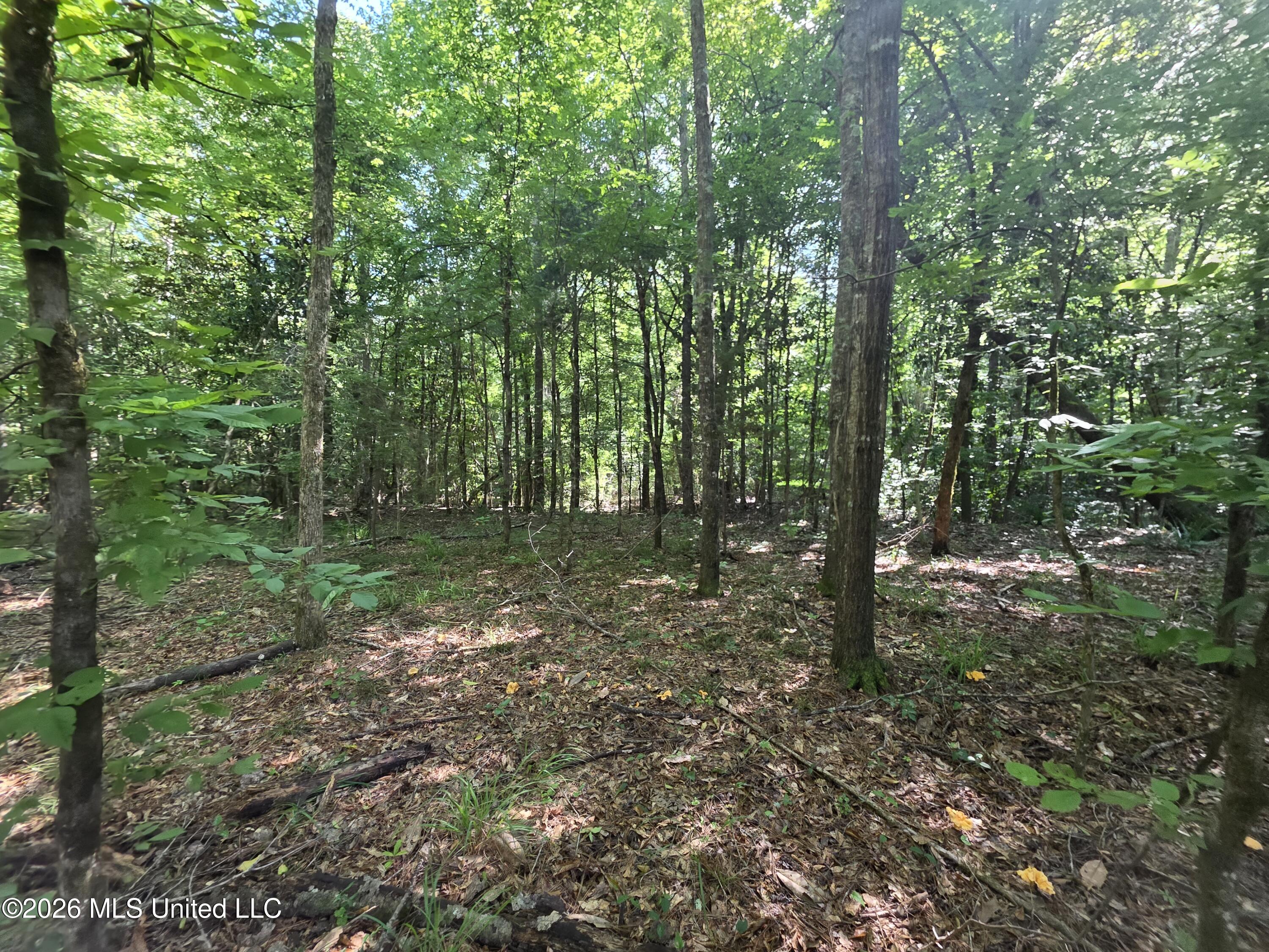 416 Summers Lane Property Photo 29