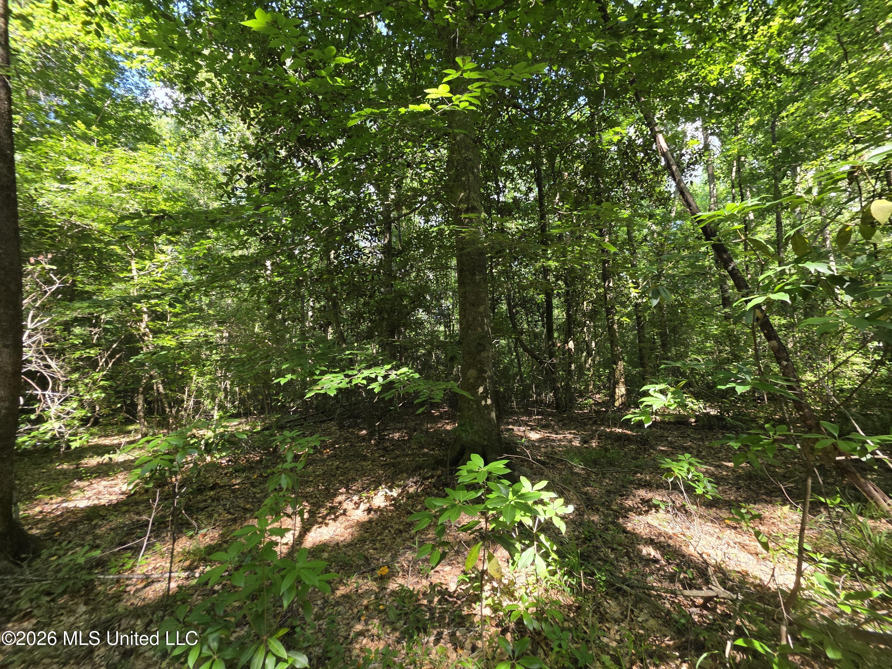 416 Summers Lane Property Photo 37