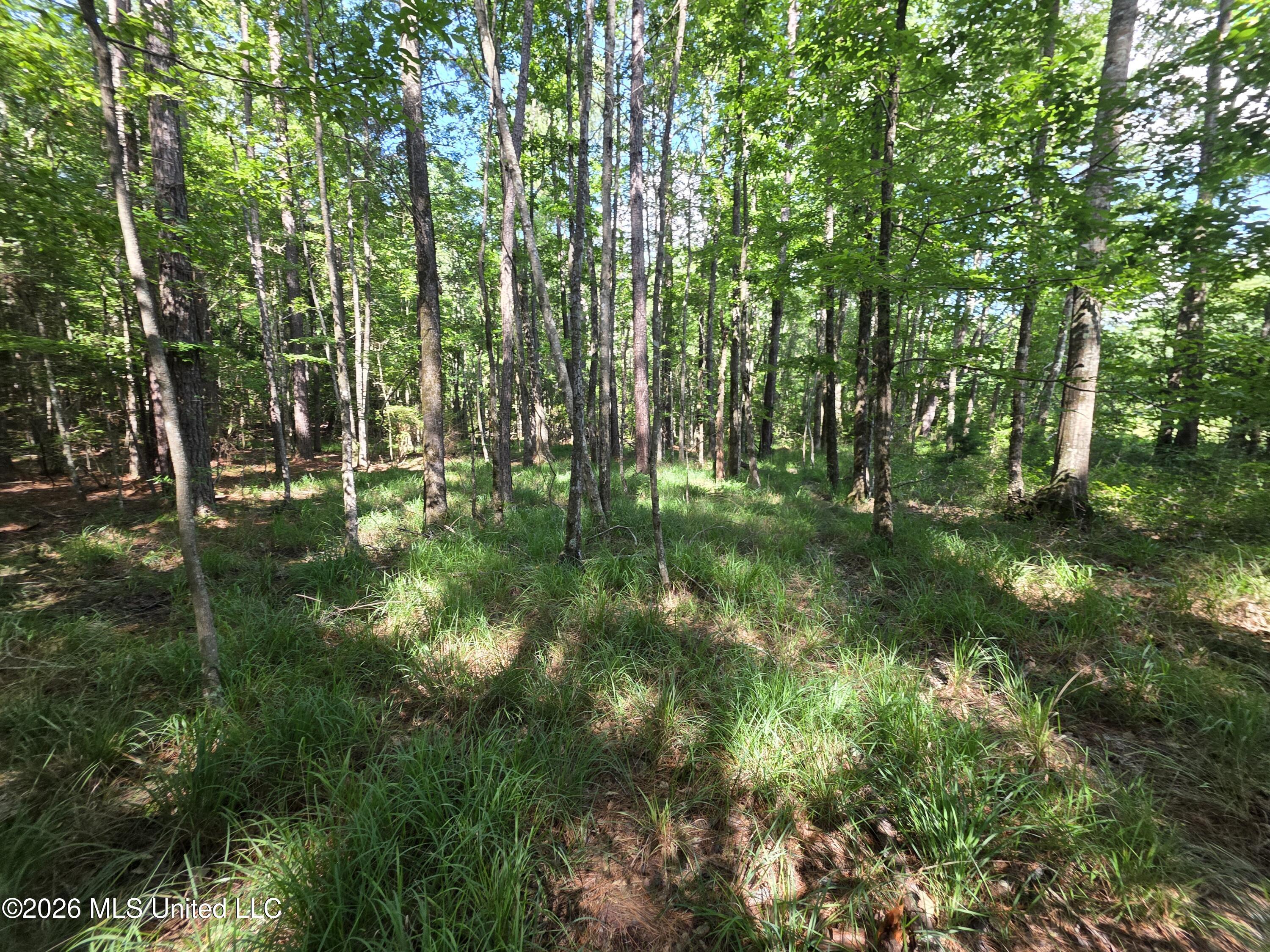 416 Summers Lane Property Photo 40