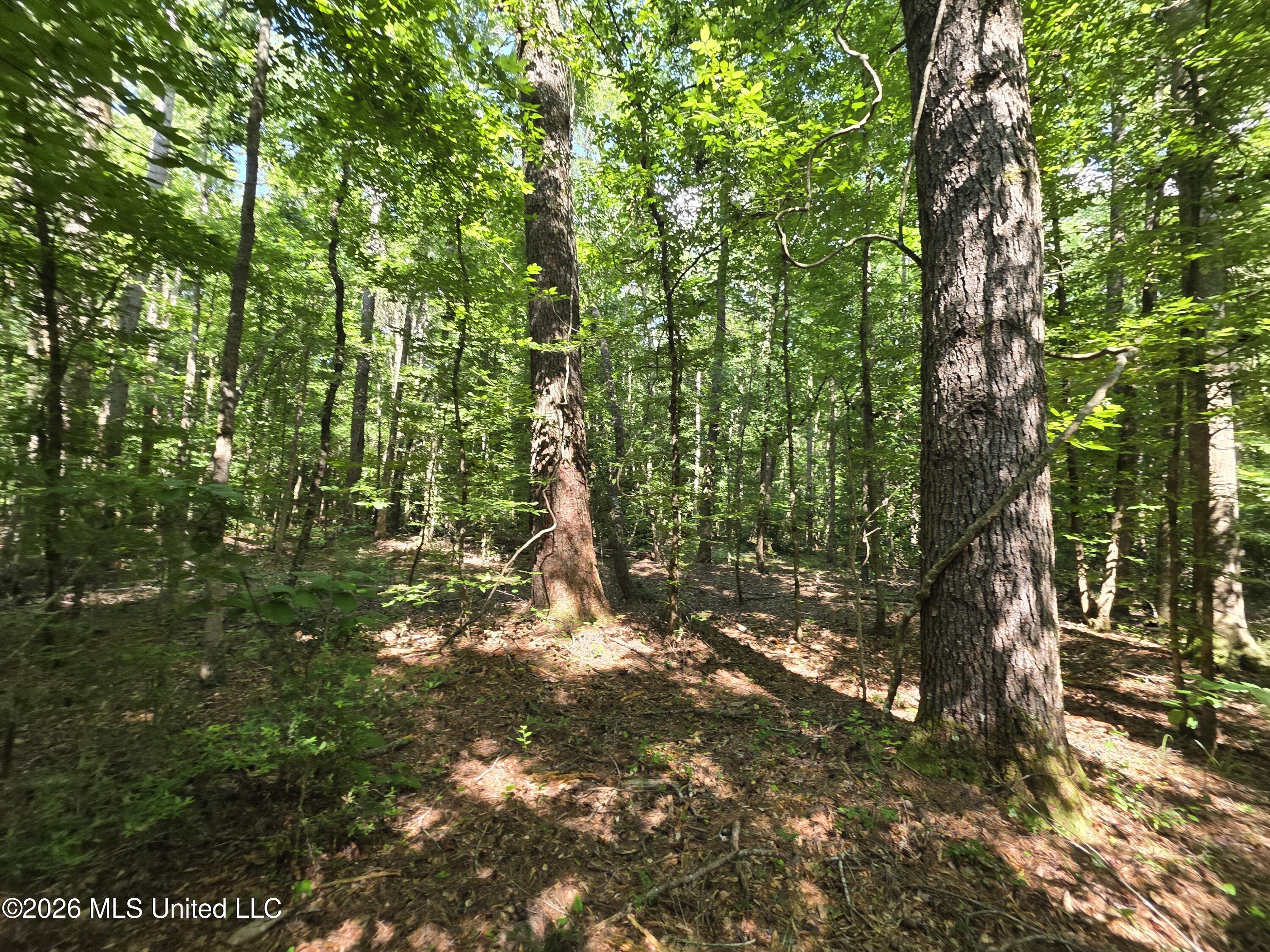 416 Summers Lane Property Photo 42