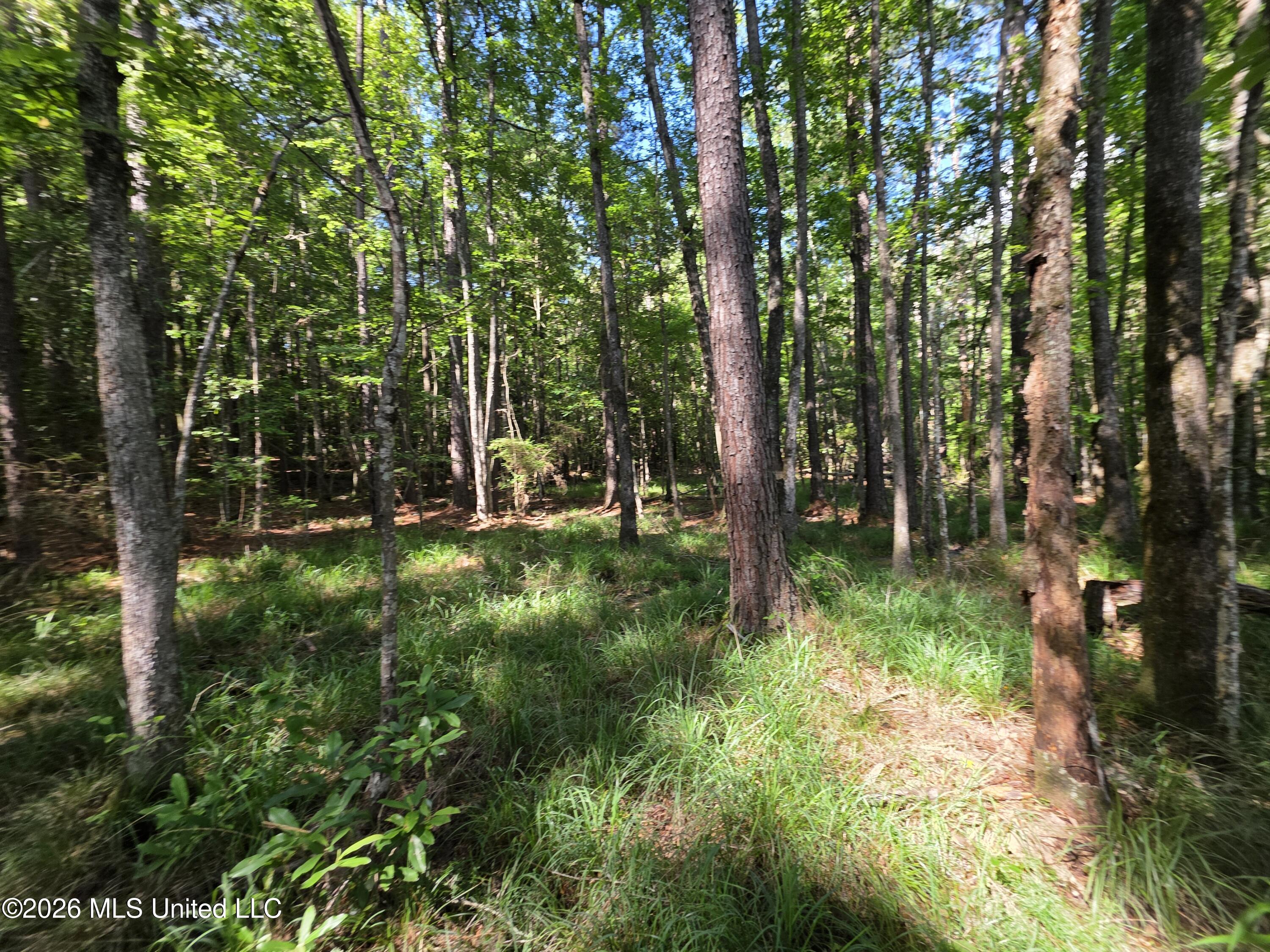 416 Summers Lane Property Photo 44