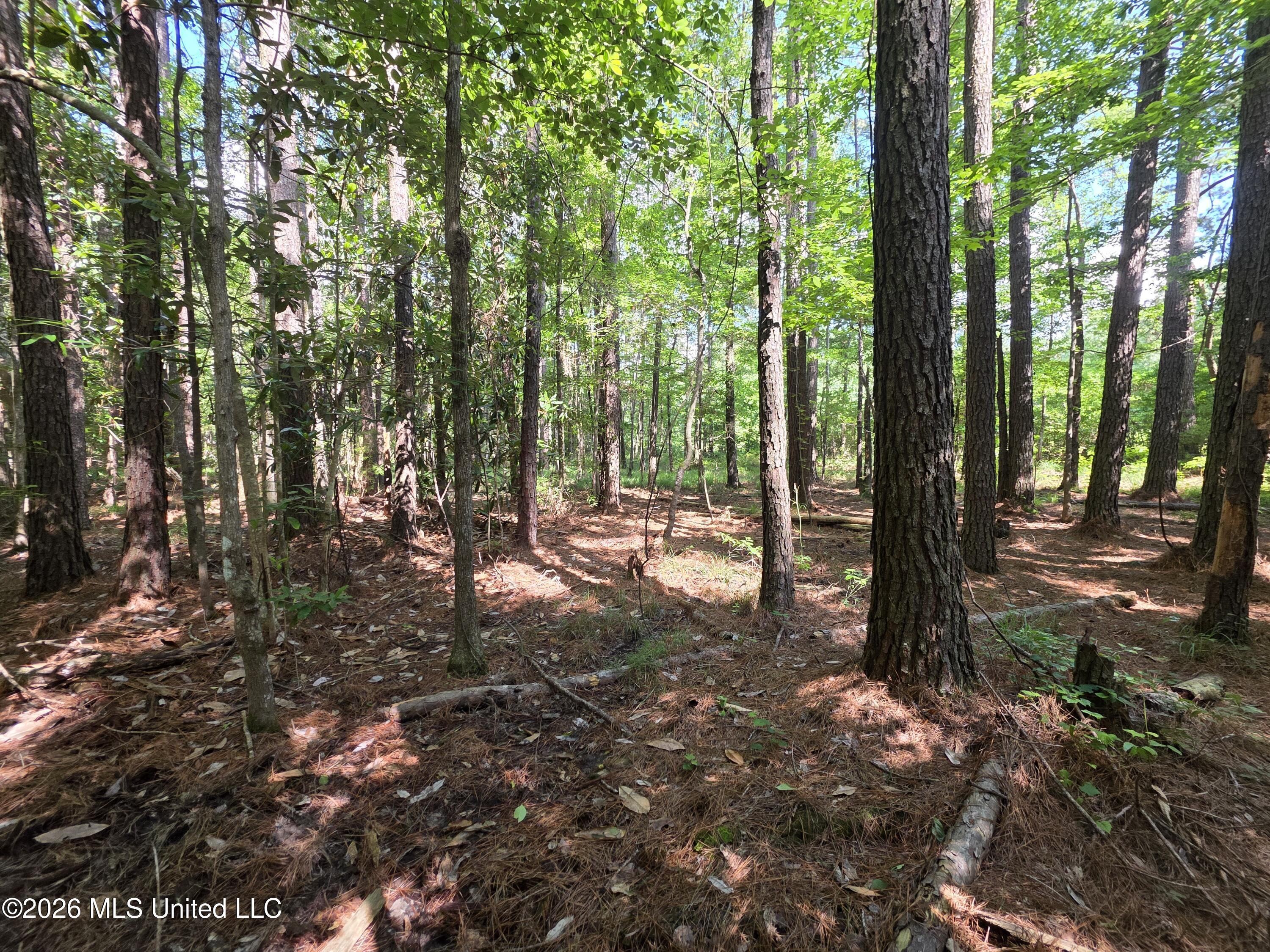 416 Summers Lane Property Photo 45