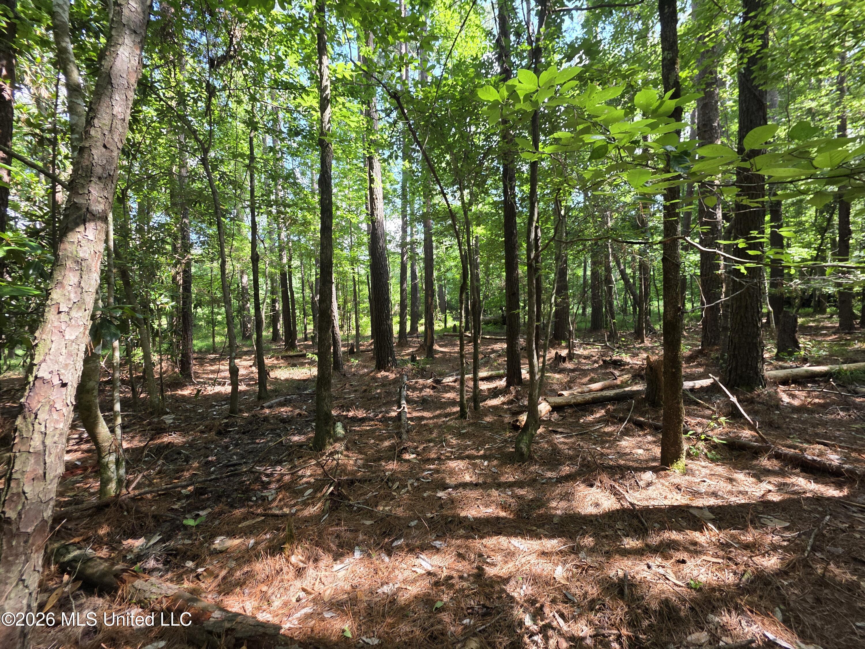 416 Summers Lane Property Photo 49