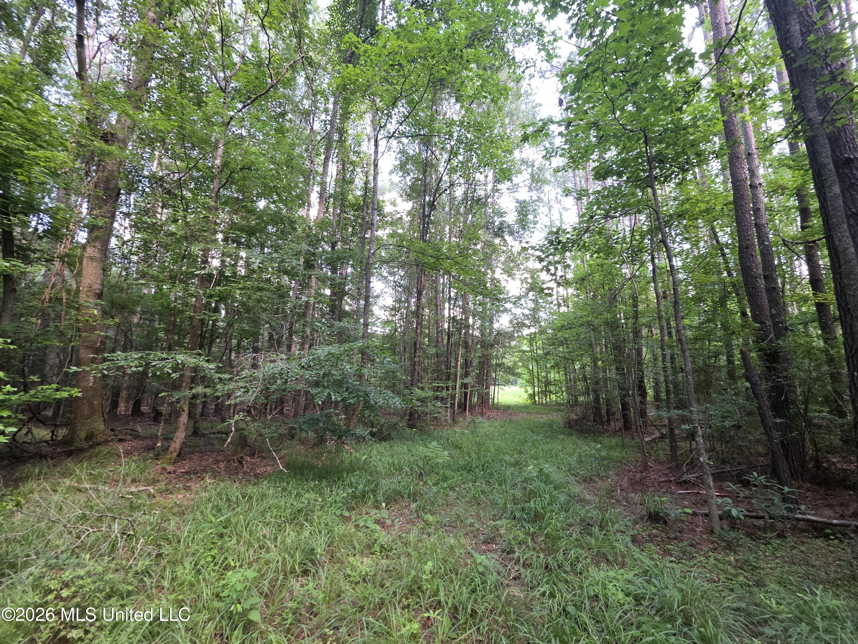416 Summers Lane Property Photo 52