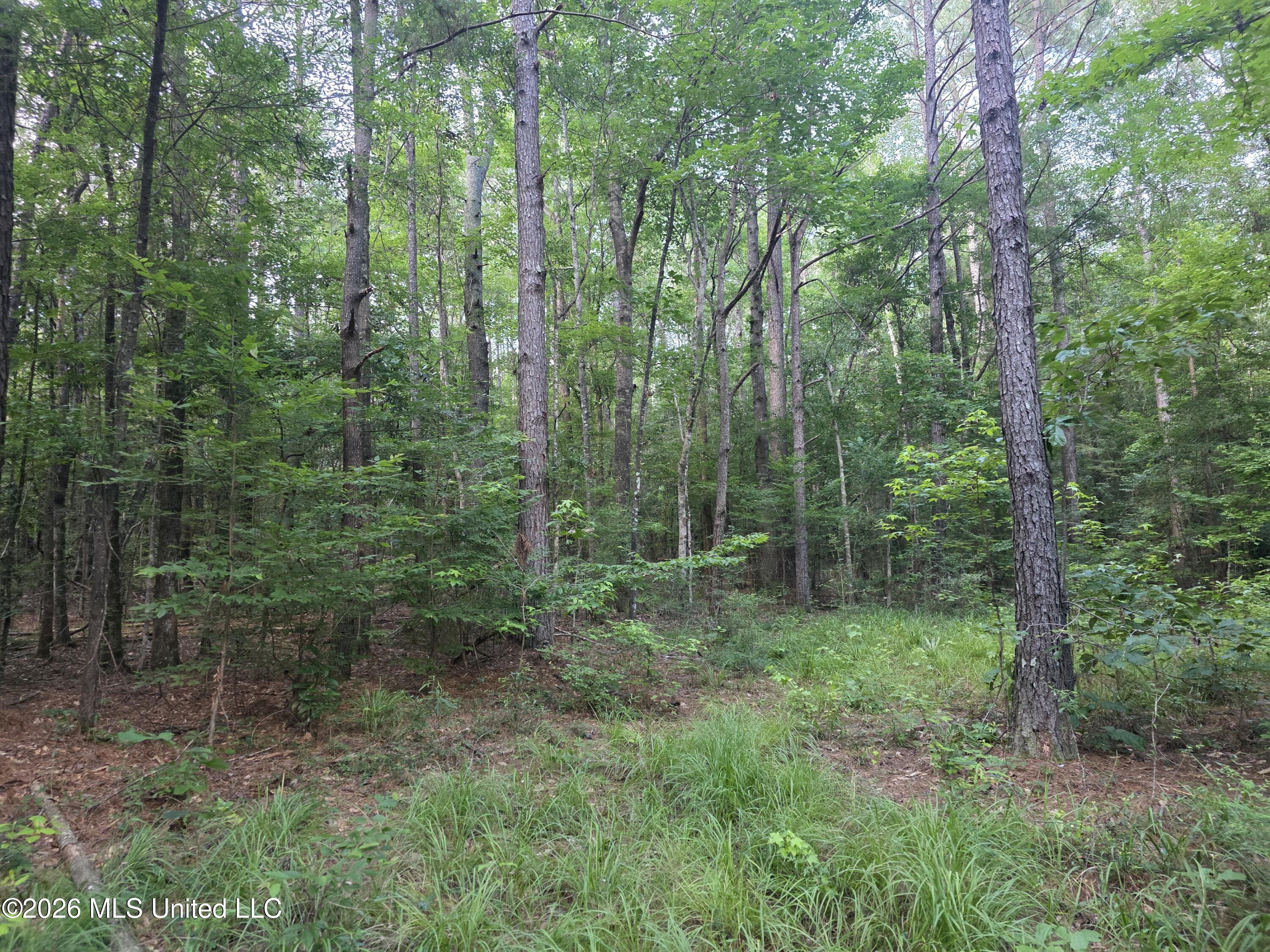 416 Summers Lane Property Photo 53