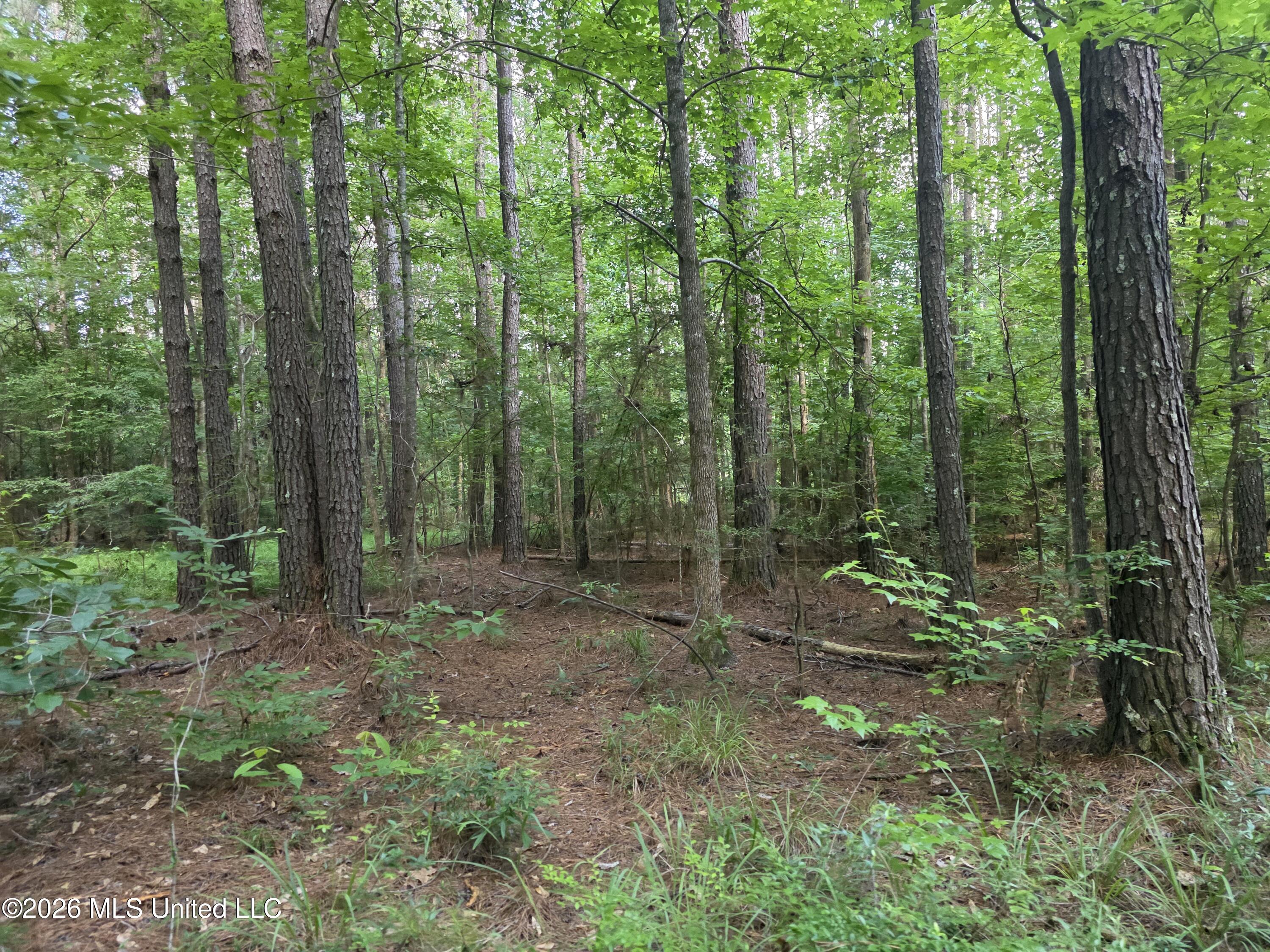 416 Summers Lane Property Photo 54