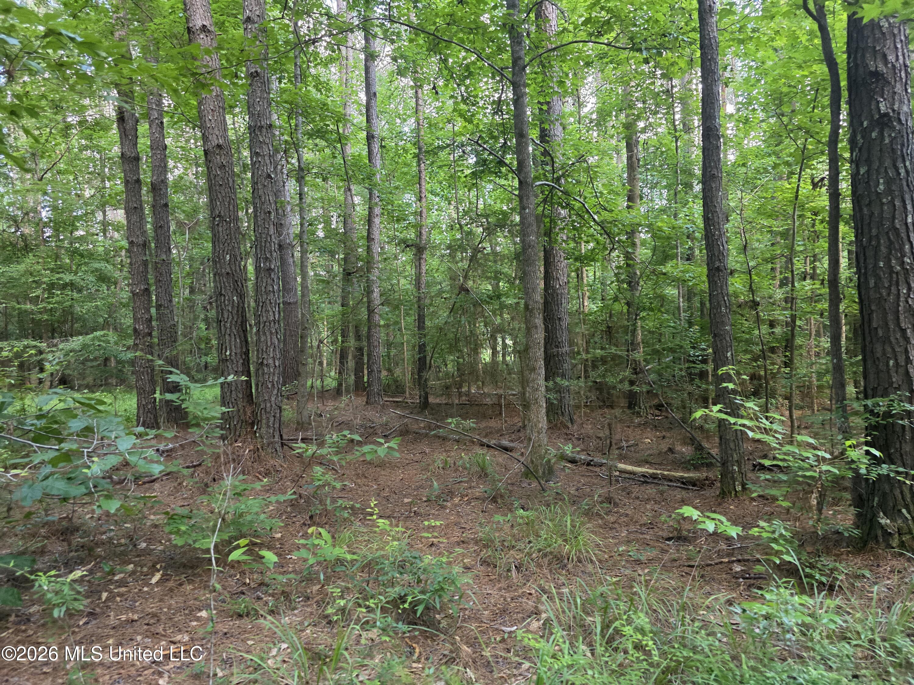 416 Summers Lane Property Photo 55