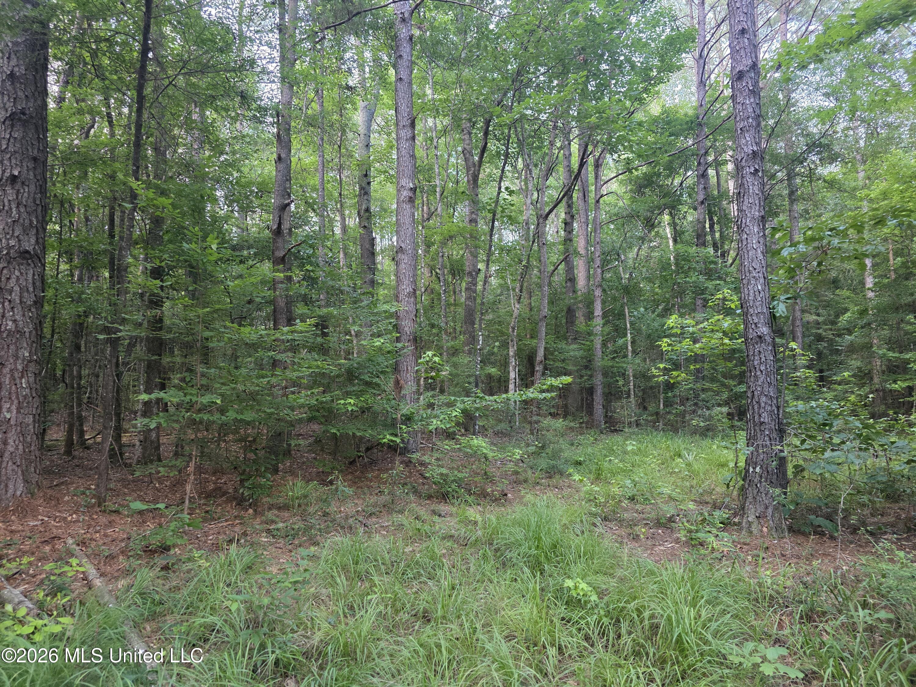 416 Summers Lane Property Photo 56
