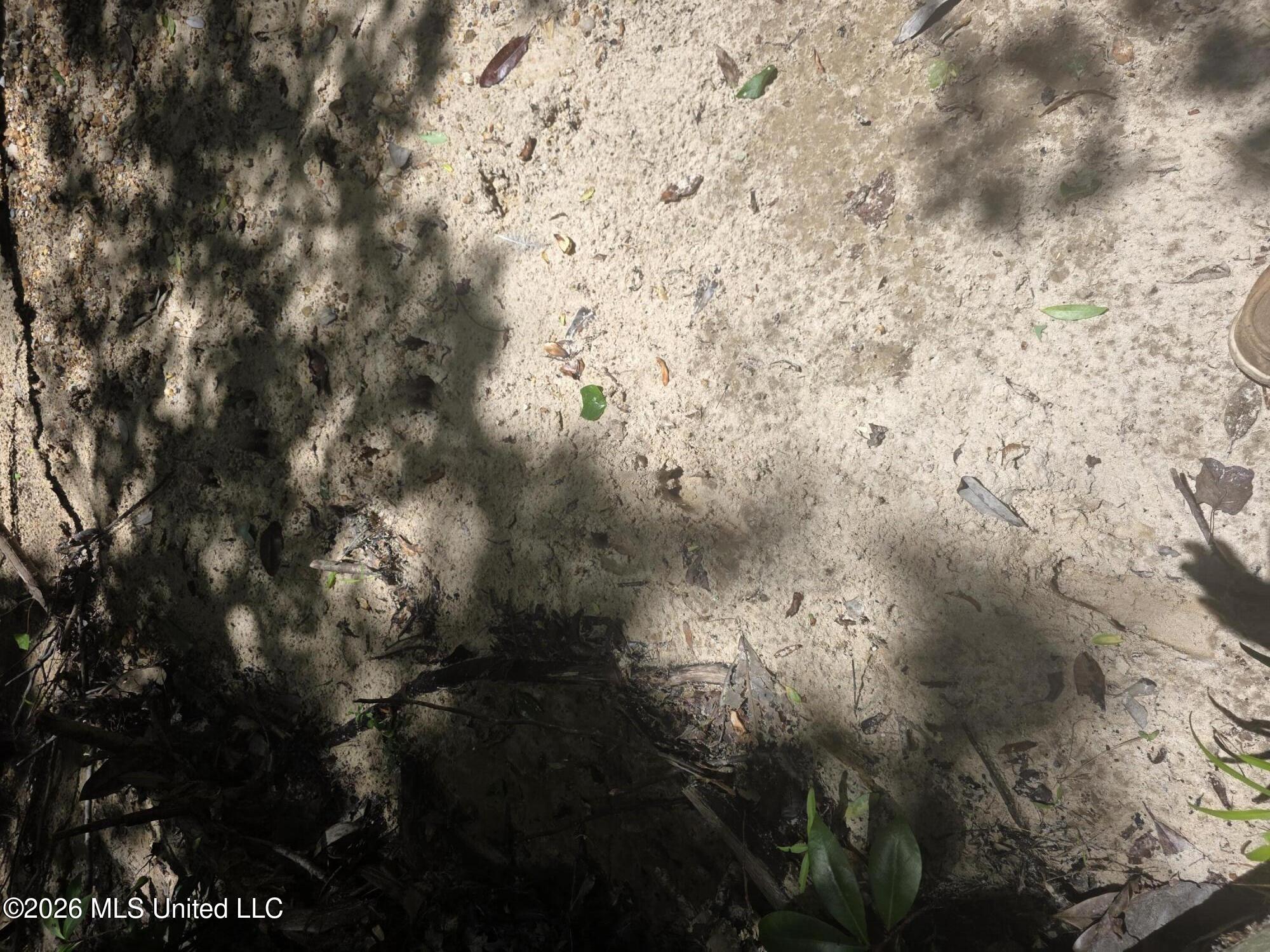 416 Summers Lane Property Photo 63