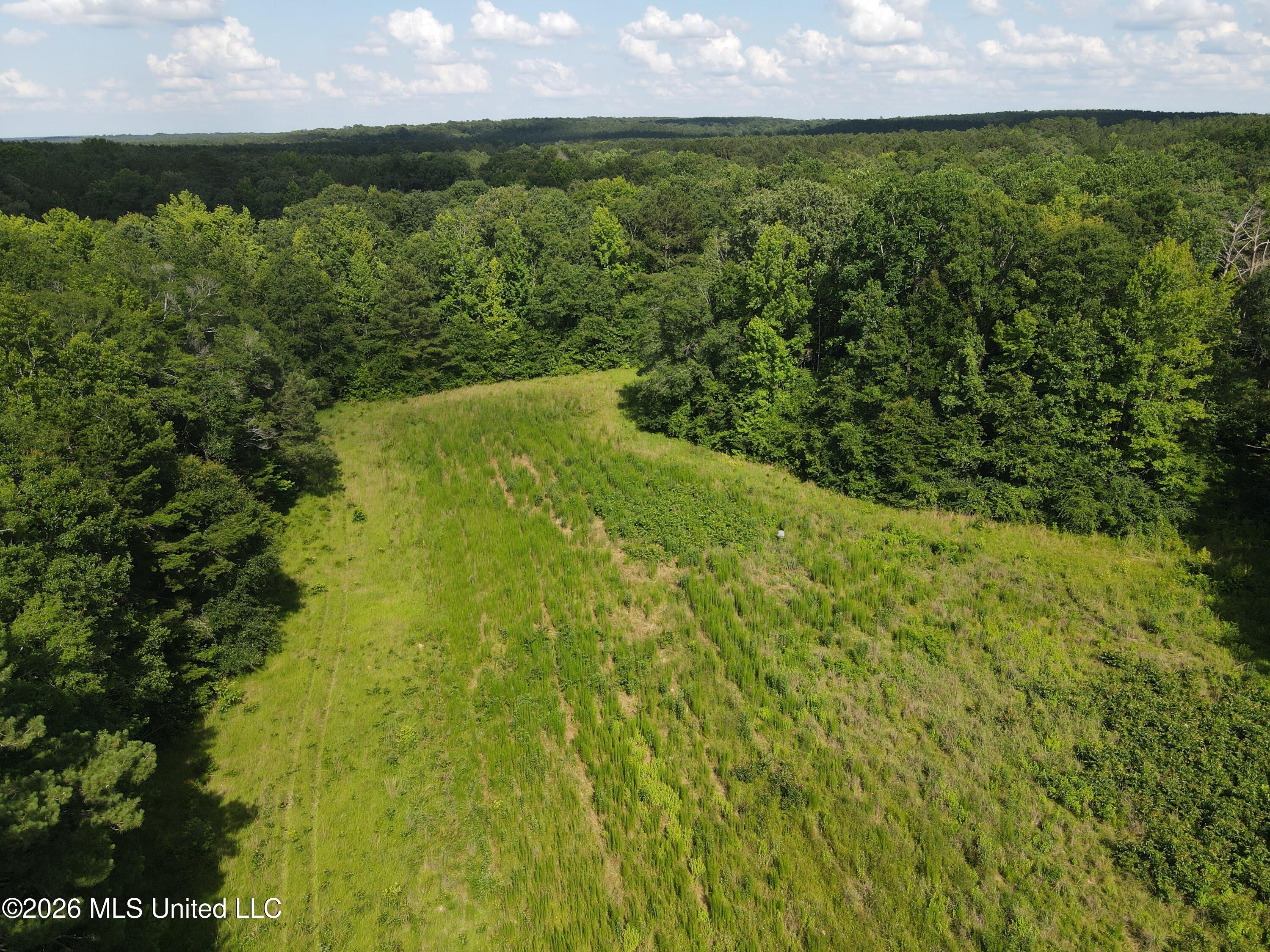 416 Summers Lane Property Photo 73