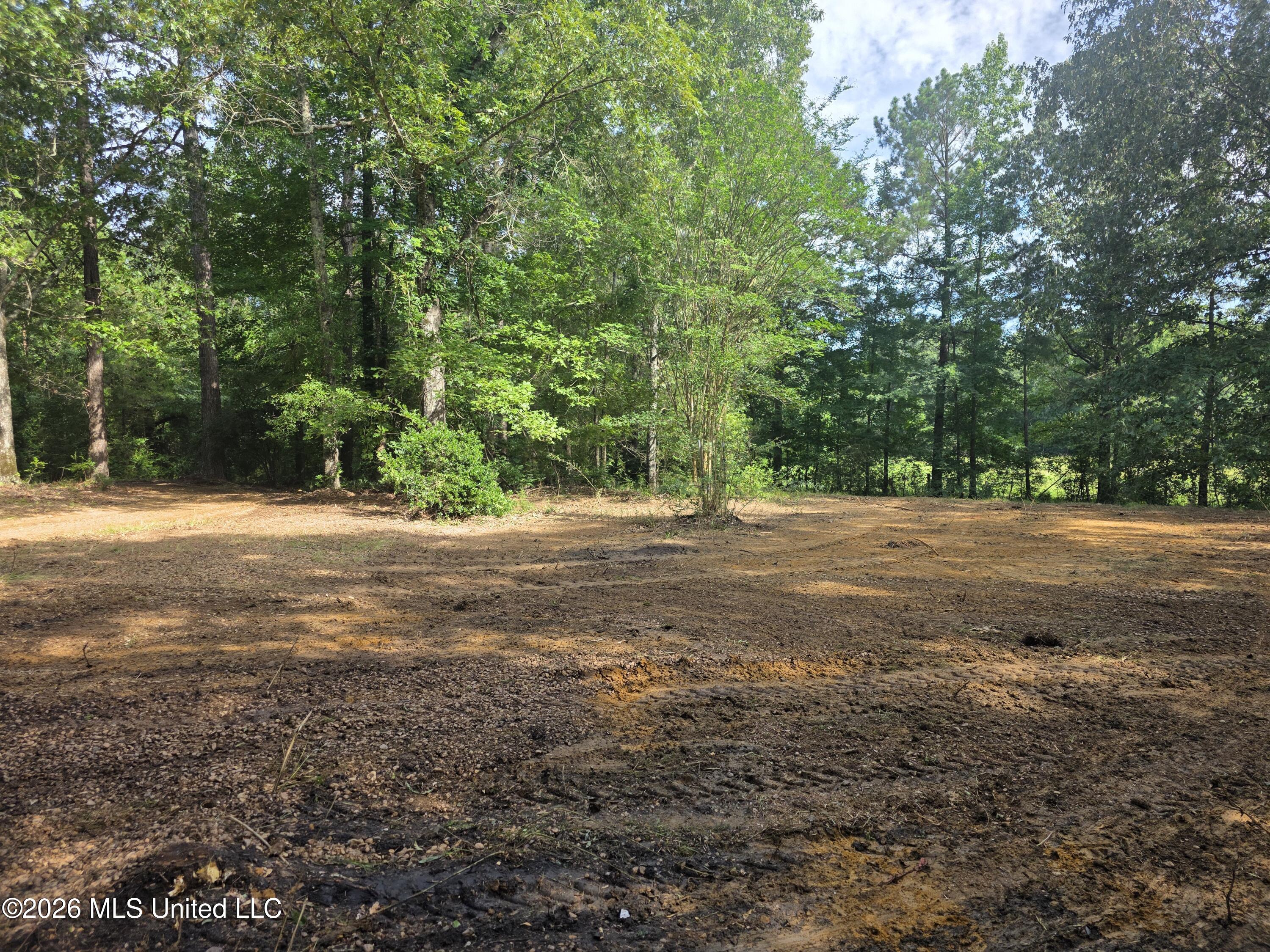 416 Summers Lane Property Photo 82