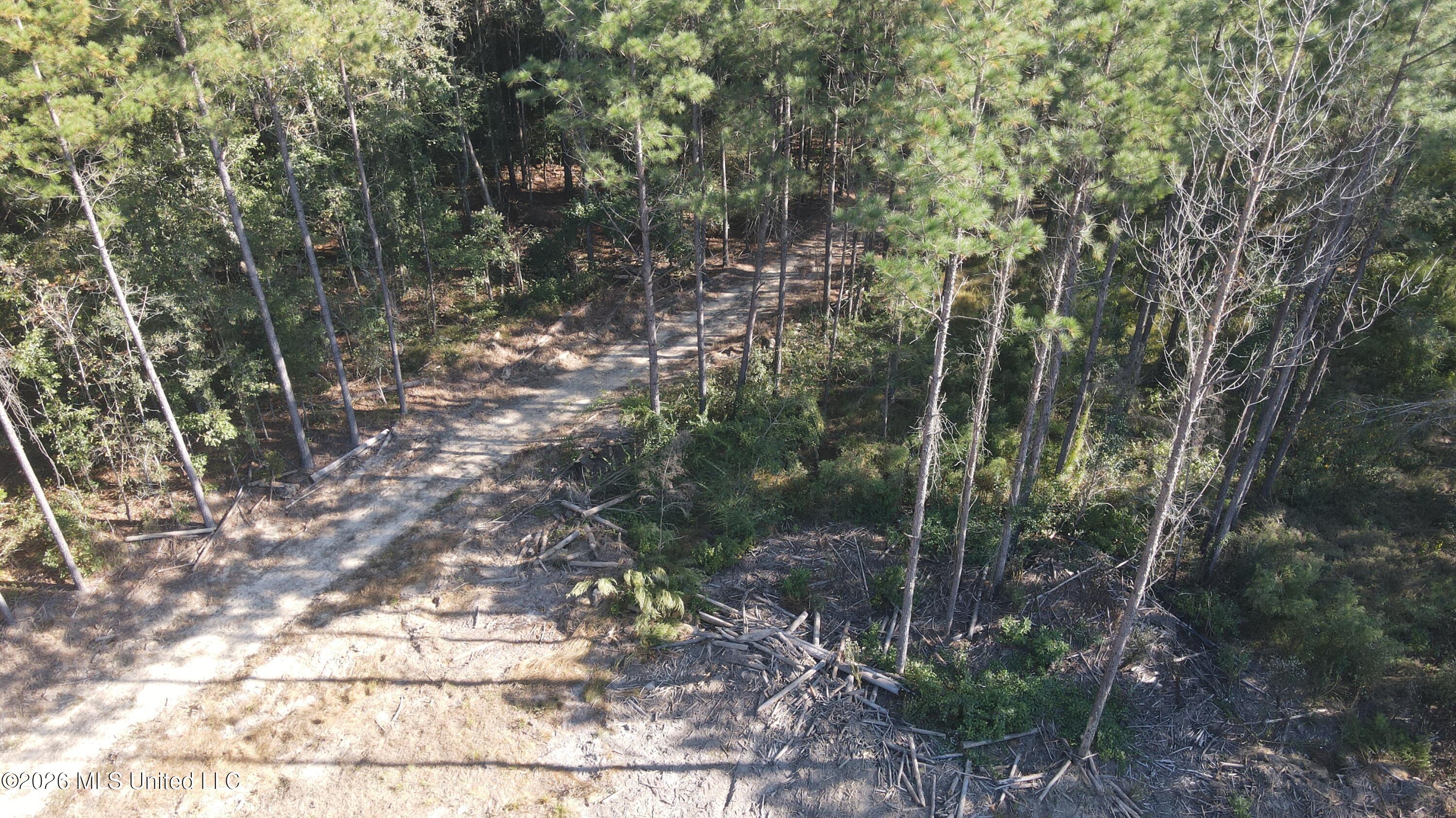 Loyd Irby Road Property Photo 6