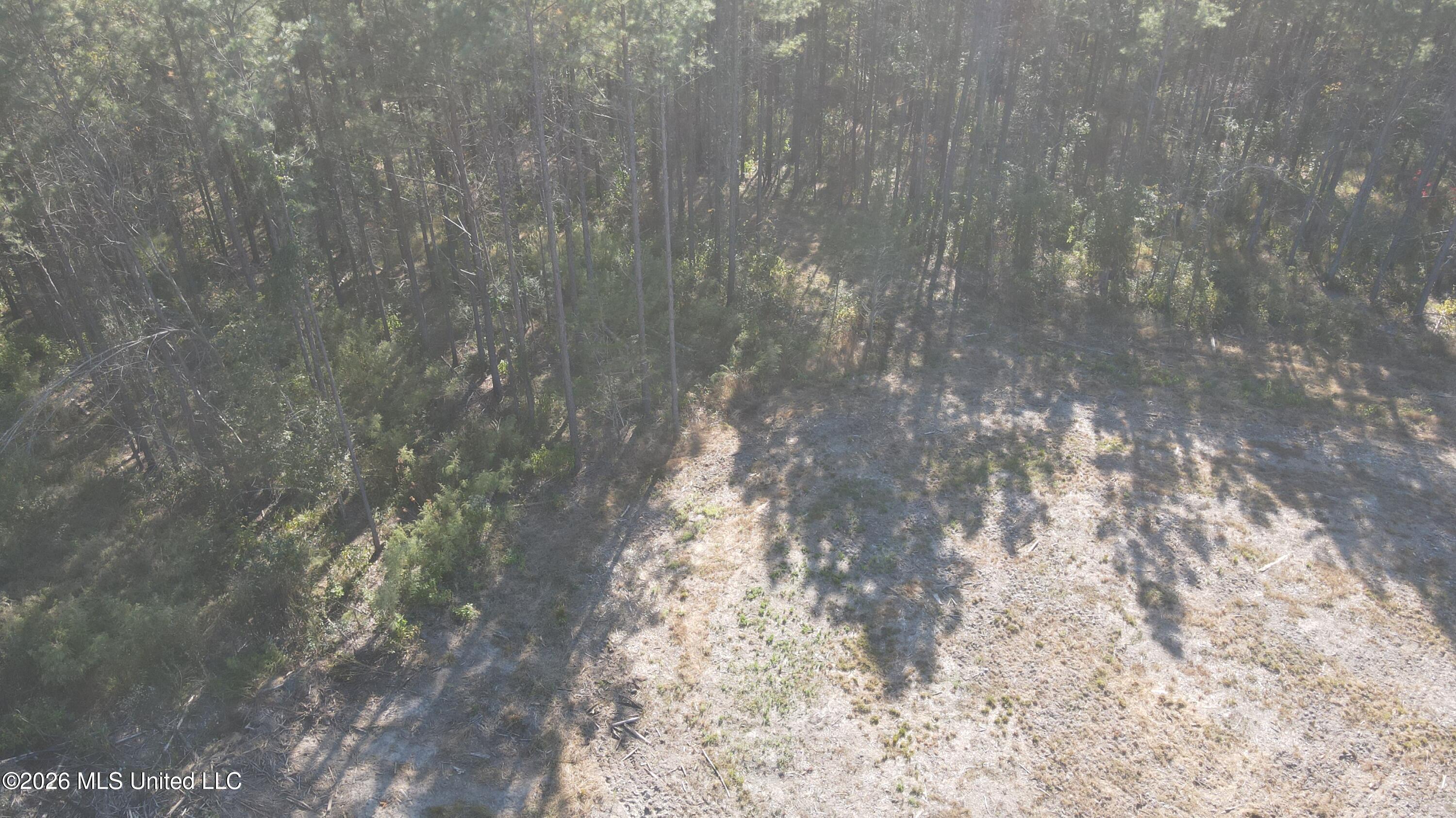 Loyd Irby Road Property Photo 7
