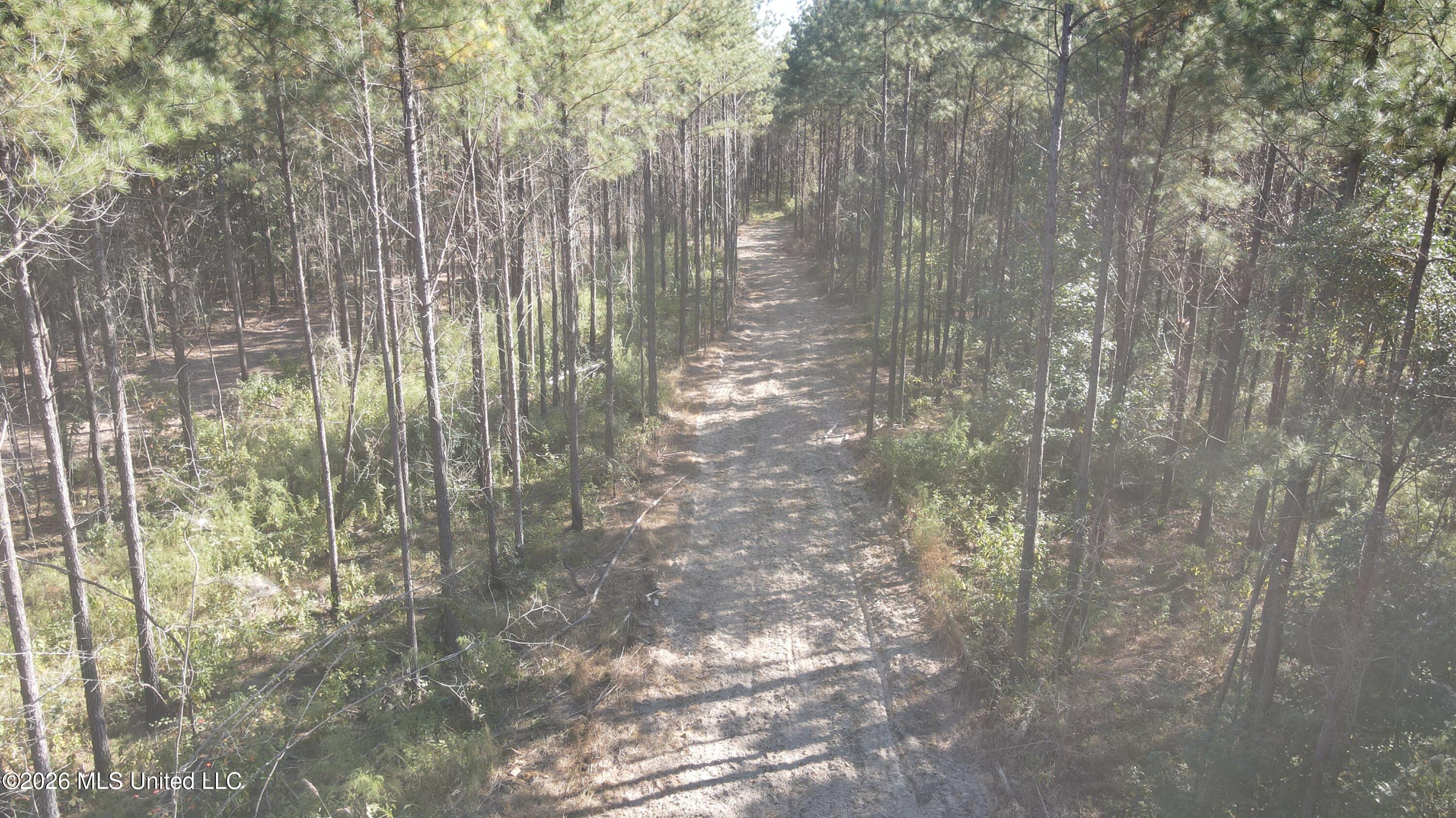 Loyd Irby Road Property Photo 13