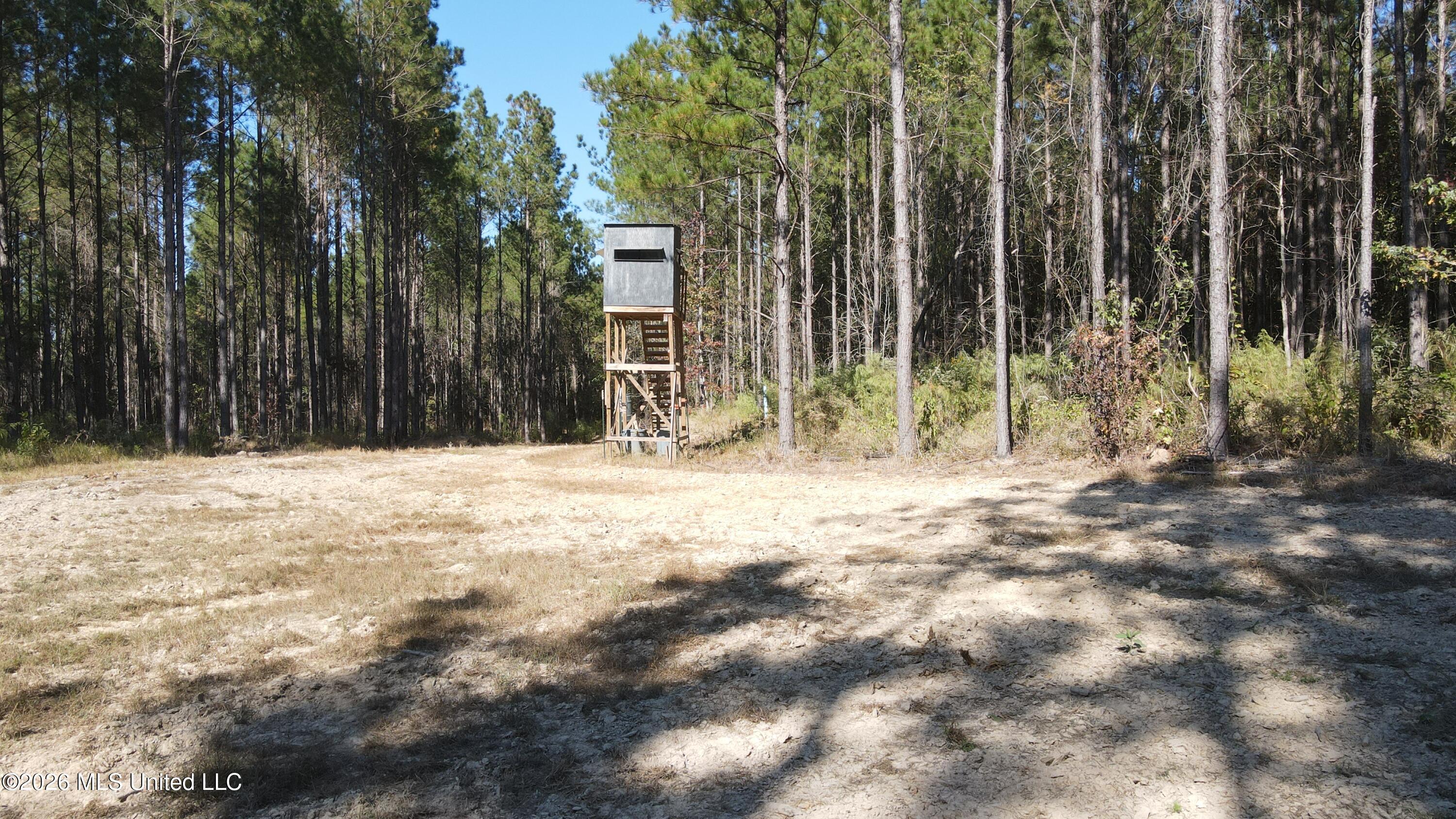 Loyd Irby Road Property Photo 18