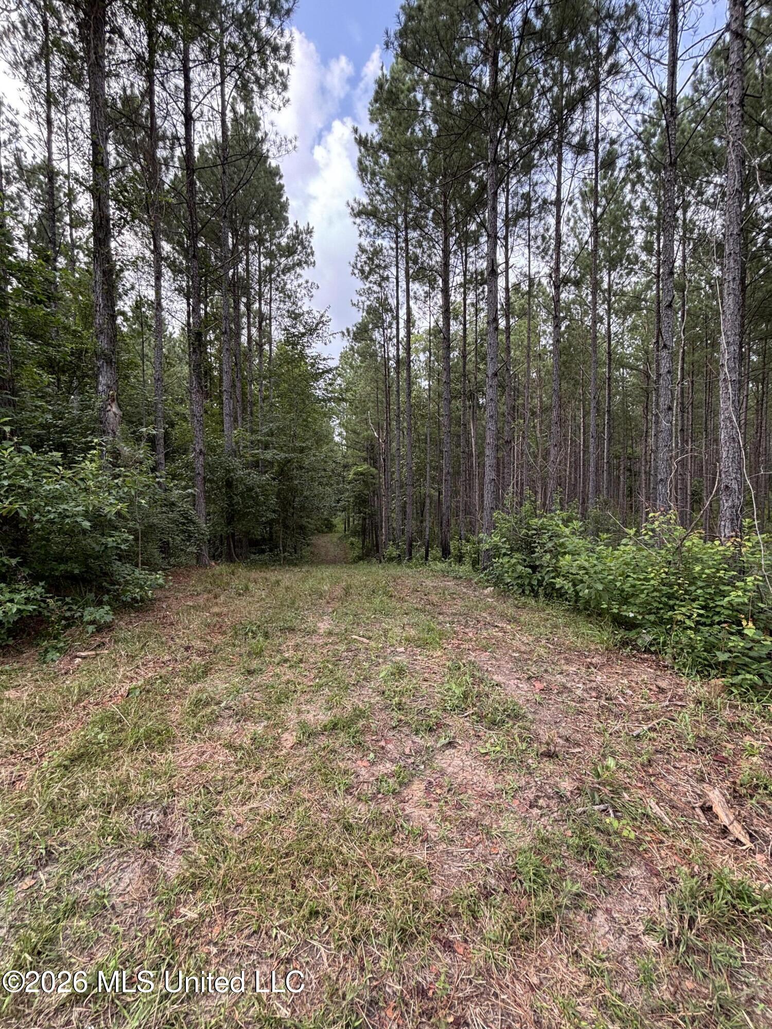 Loyd Irby Road Property Photo 31