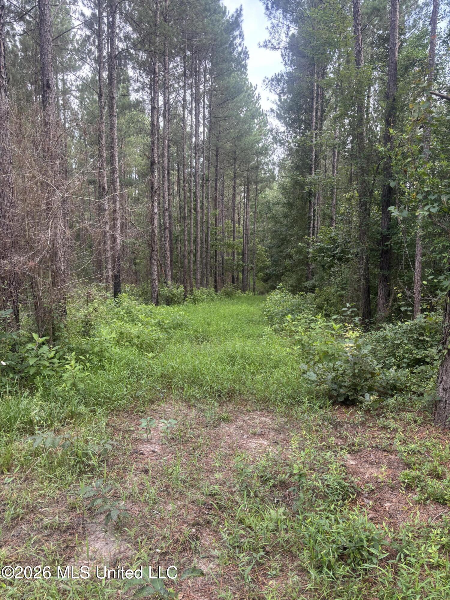 Loyd Irby Road Property Photo 32