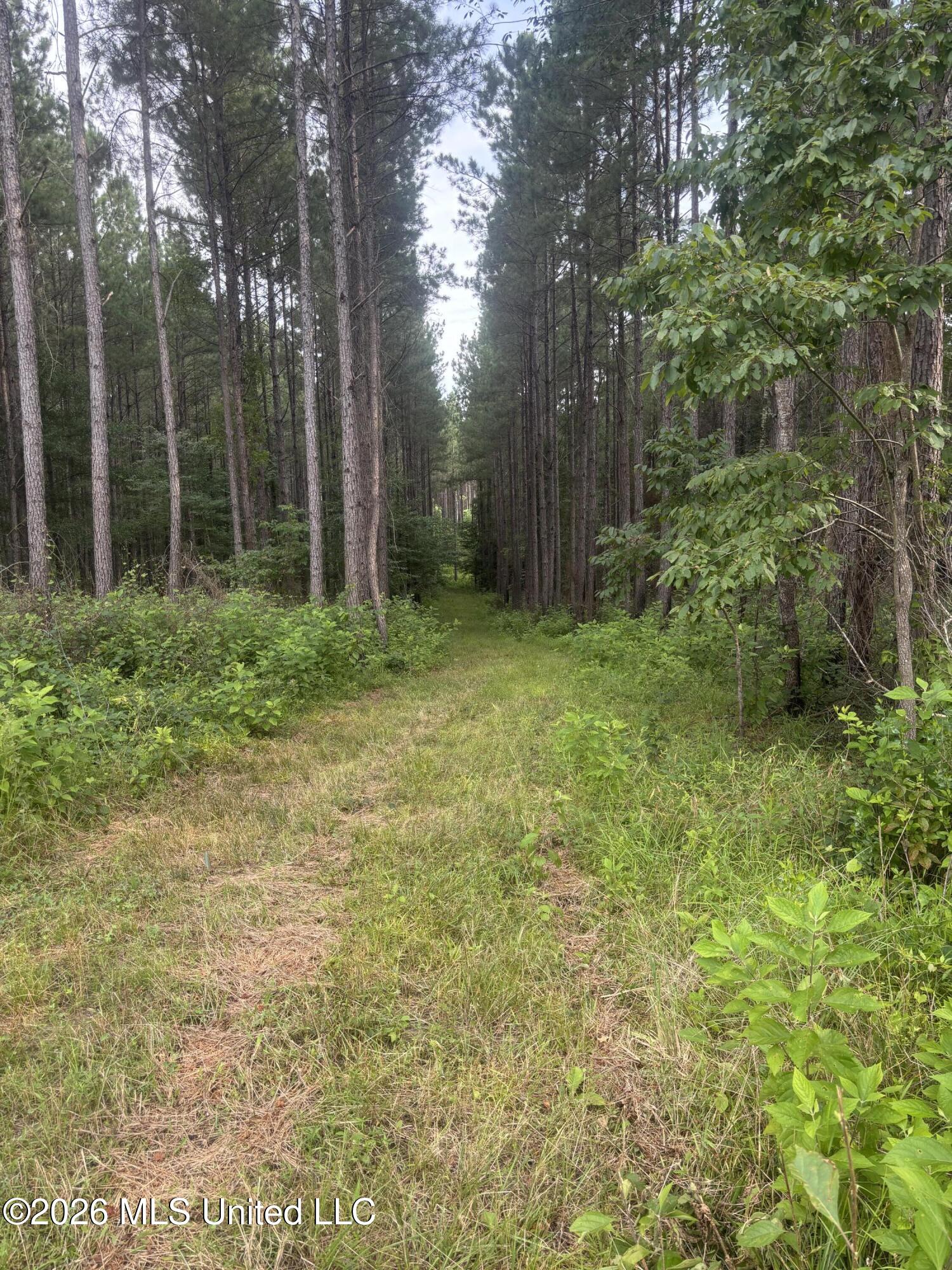 Loyd Irby Road Property Photo 33