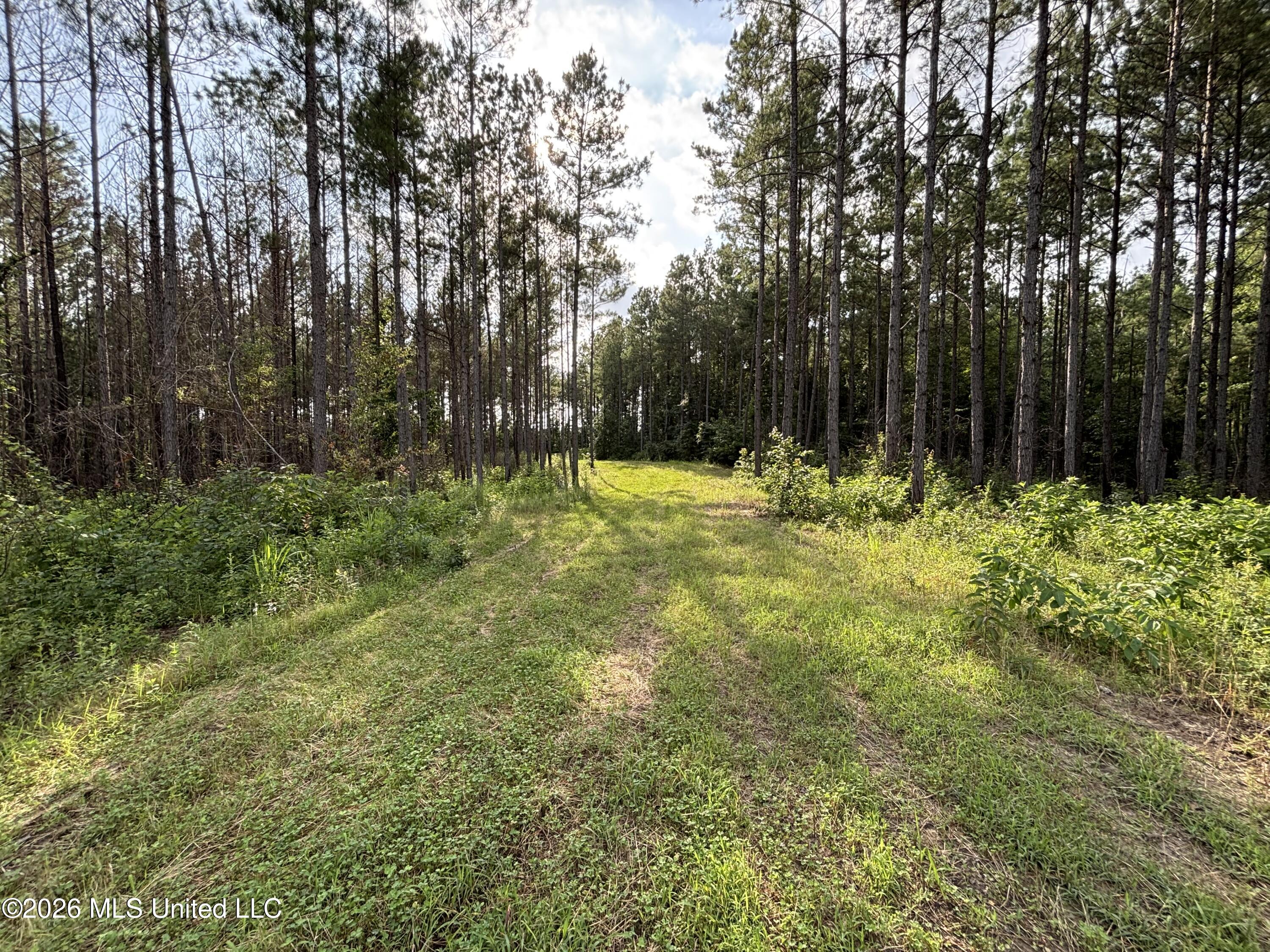Loyd Irby Road Property Photo 34