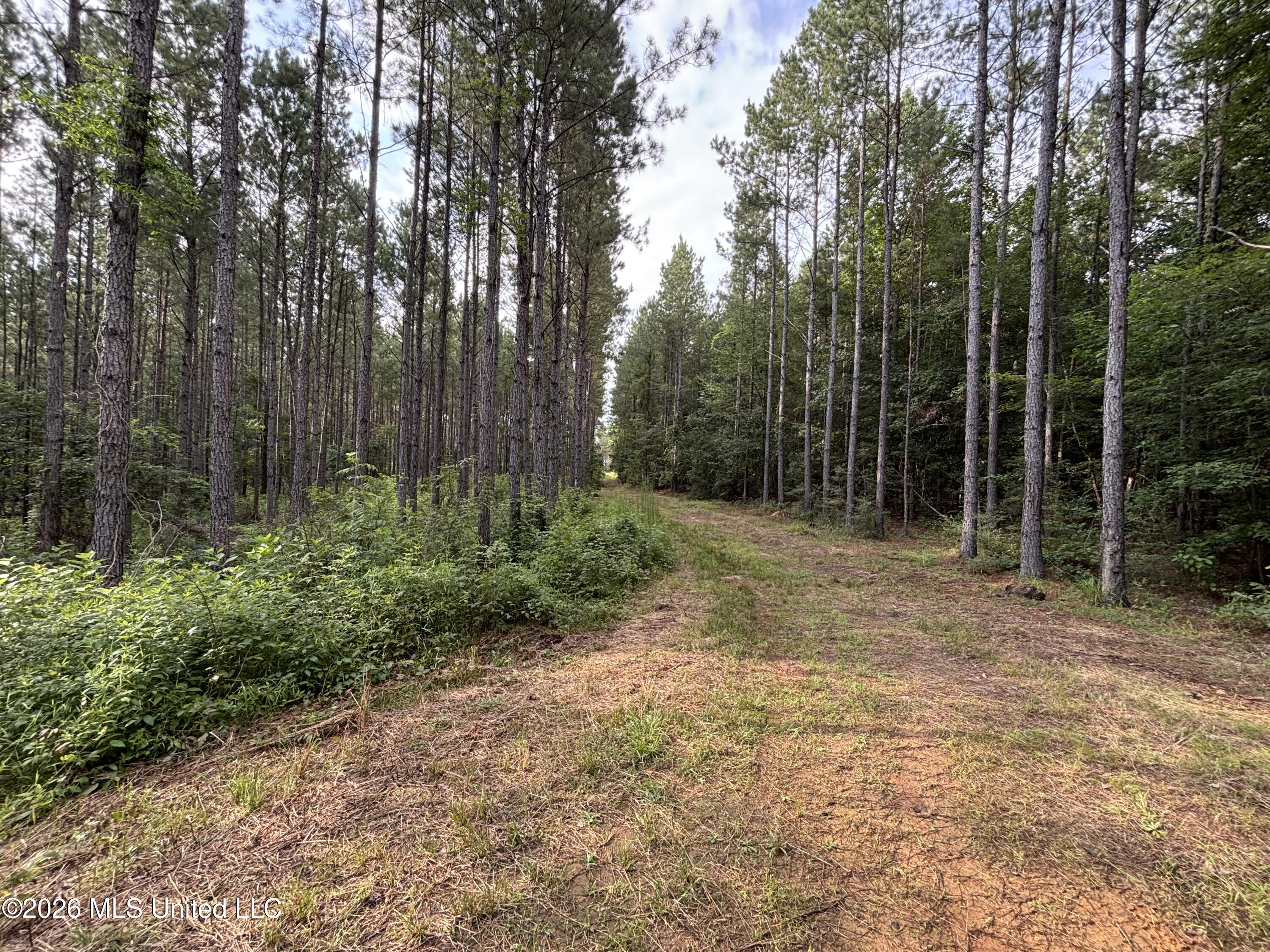 Loyd Irby Road Property Photo 35