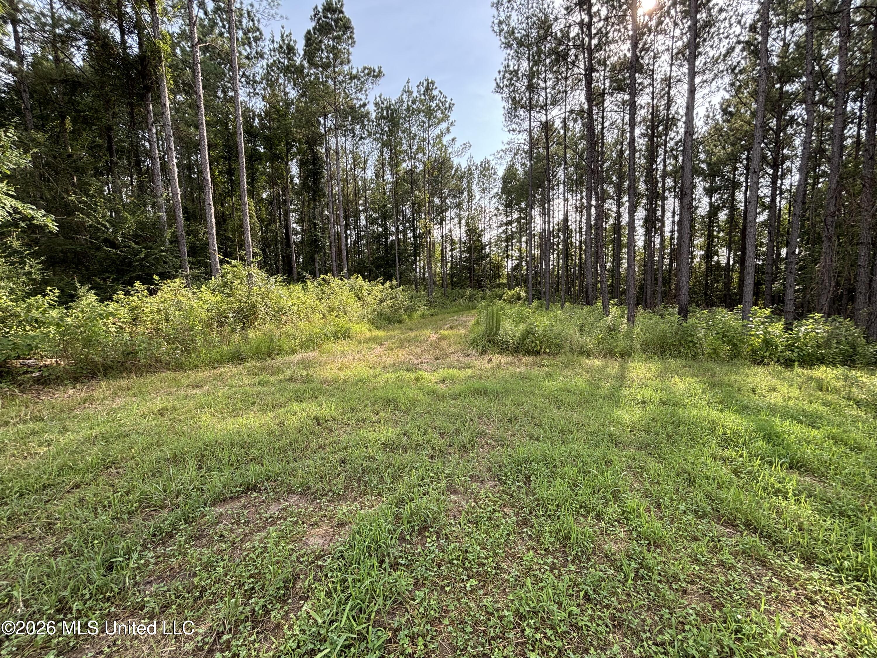 Loyd Irby Road Property Photo 36
