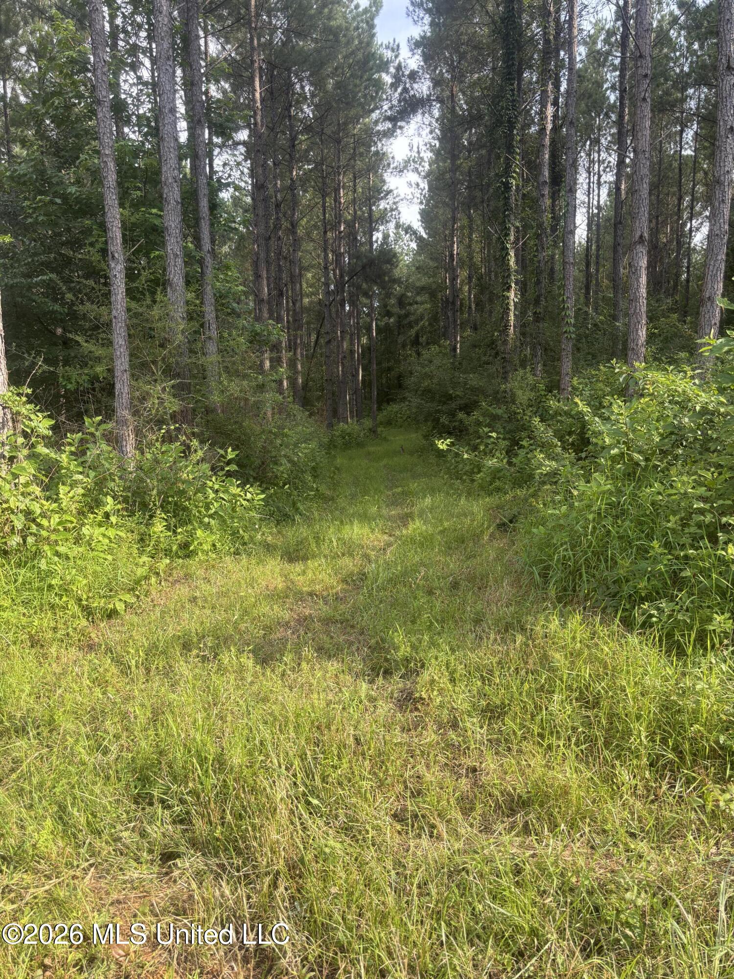 Loyd Irby Road Property Photo 37