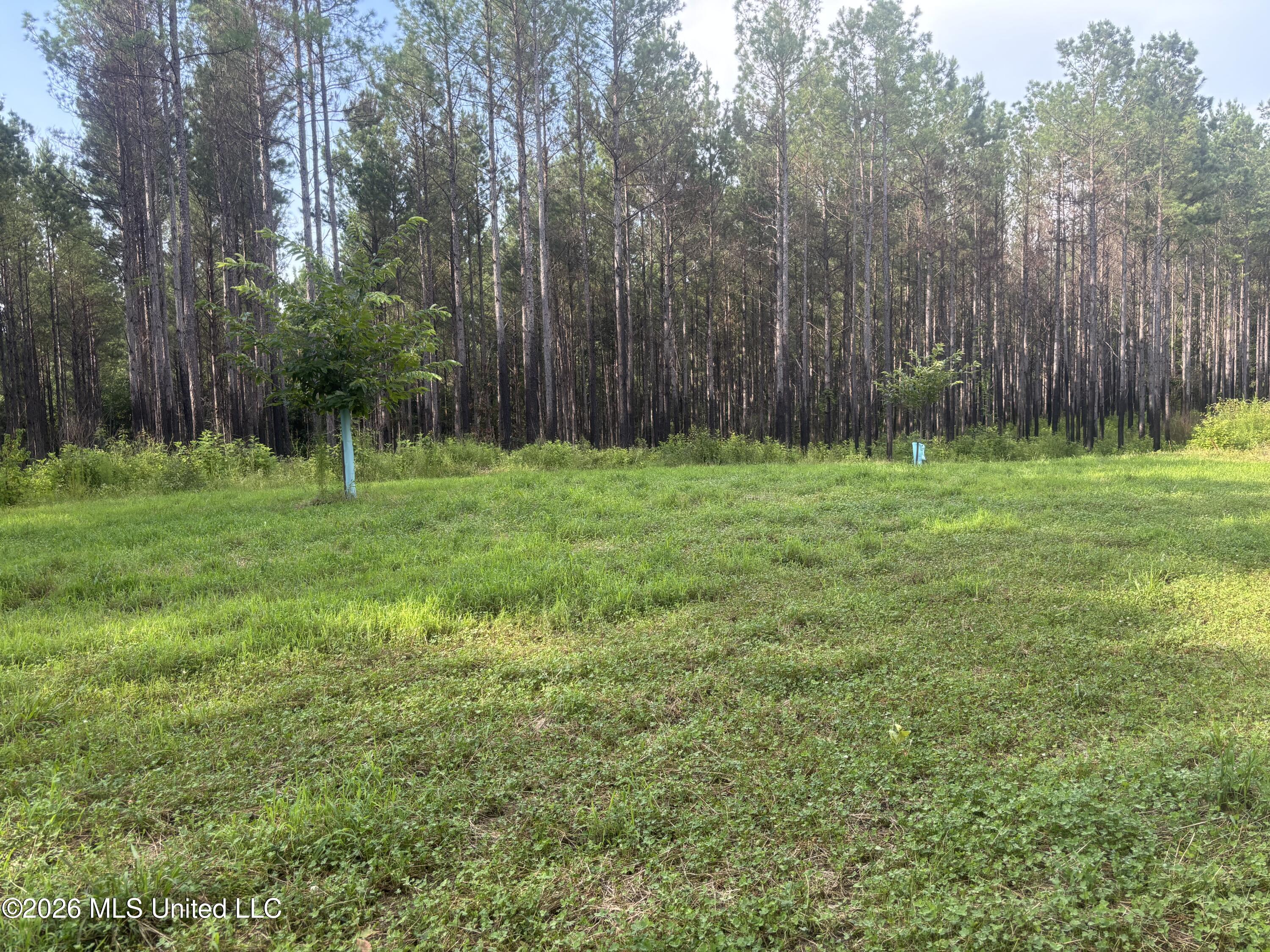 Loyd Irby Road Property Photo 38