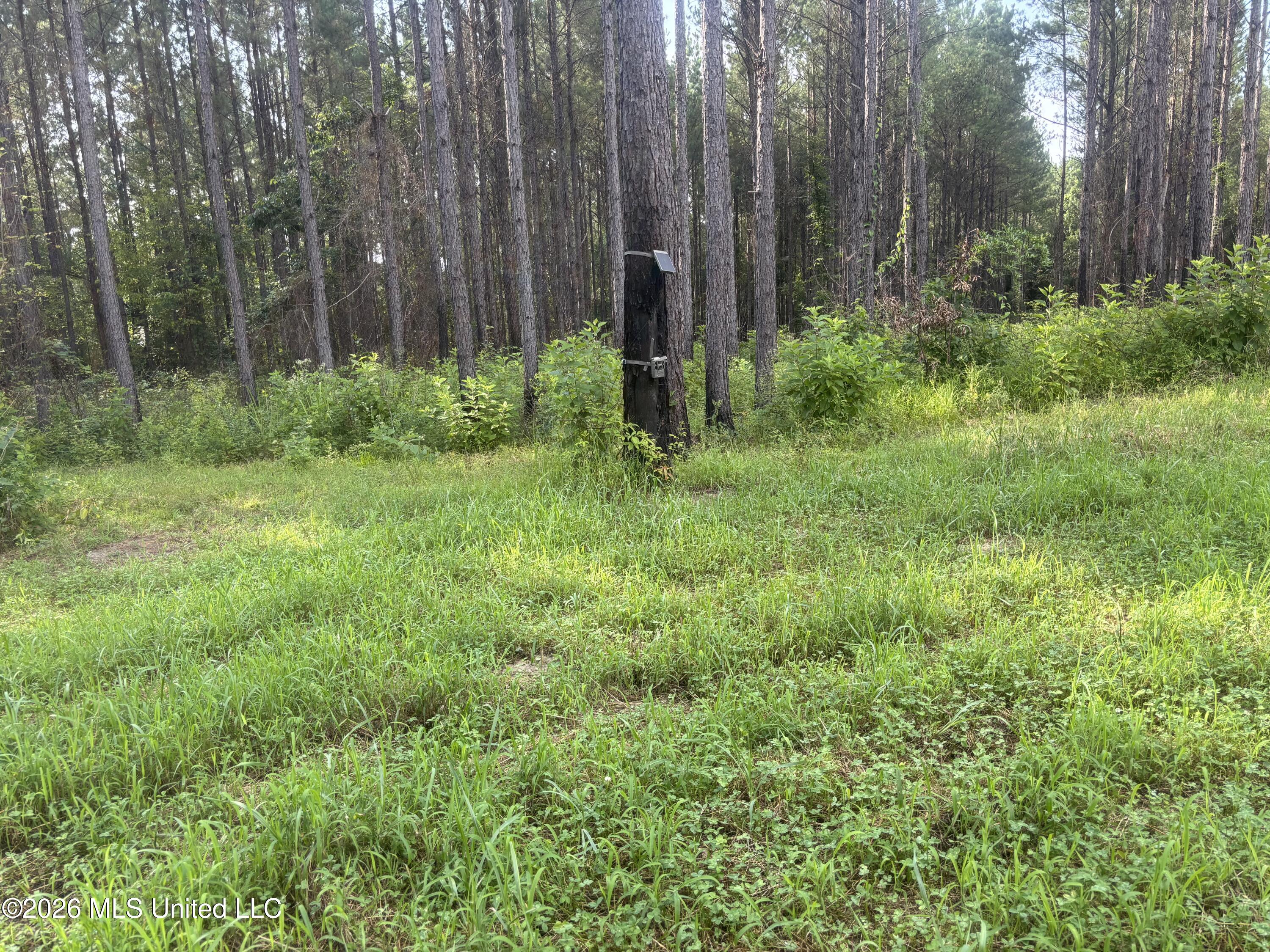 Loyd Irby Road Property Photo 39