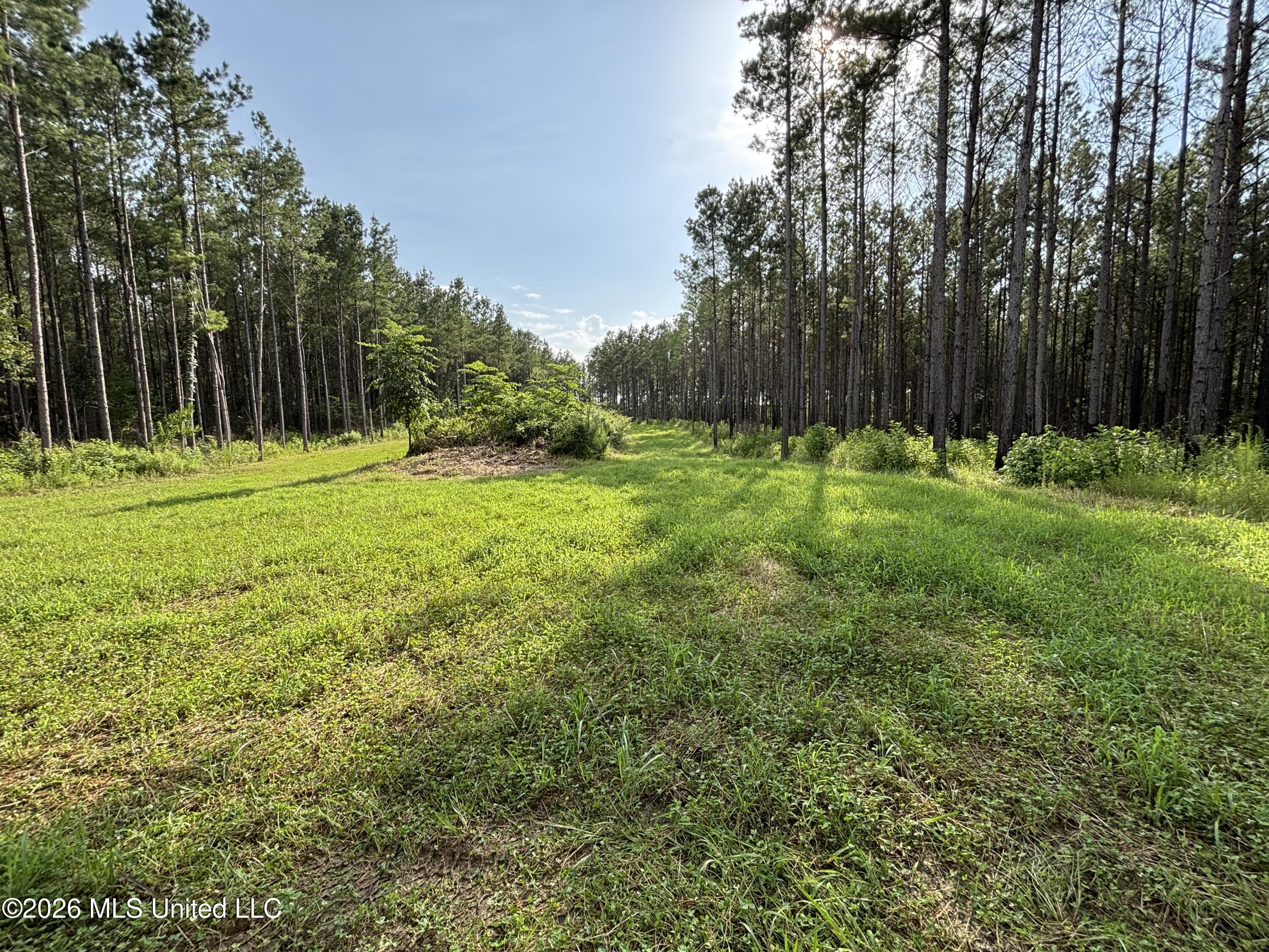 Loyd Irby Road Property Photo 40