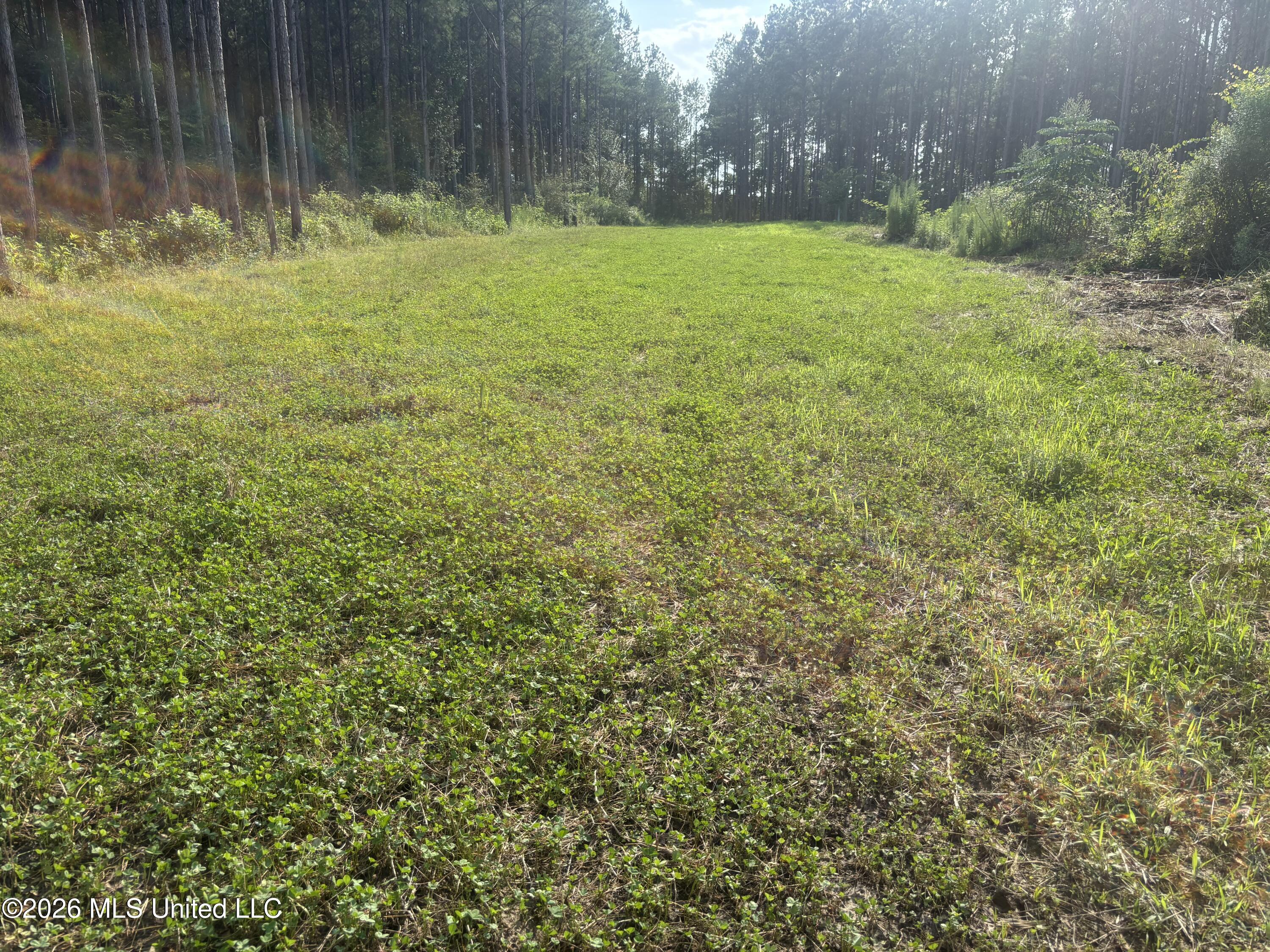 Loyd Irby Road Property Photo 41