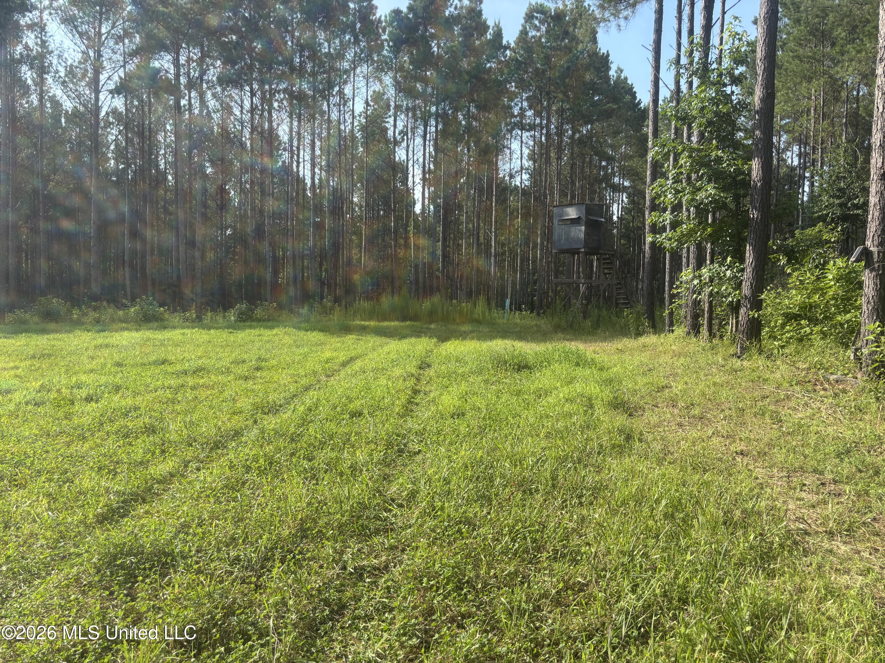 Loyd Irby Road Property Photo 43