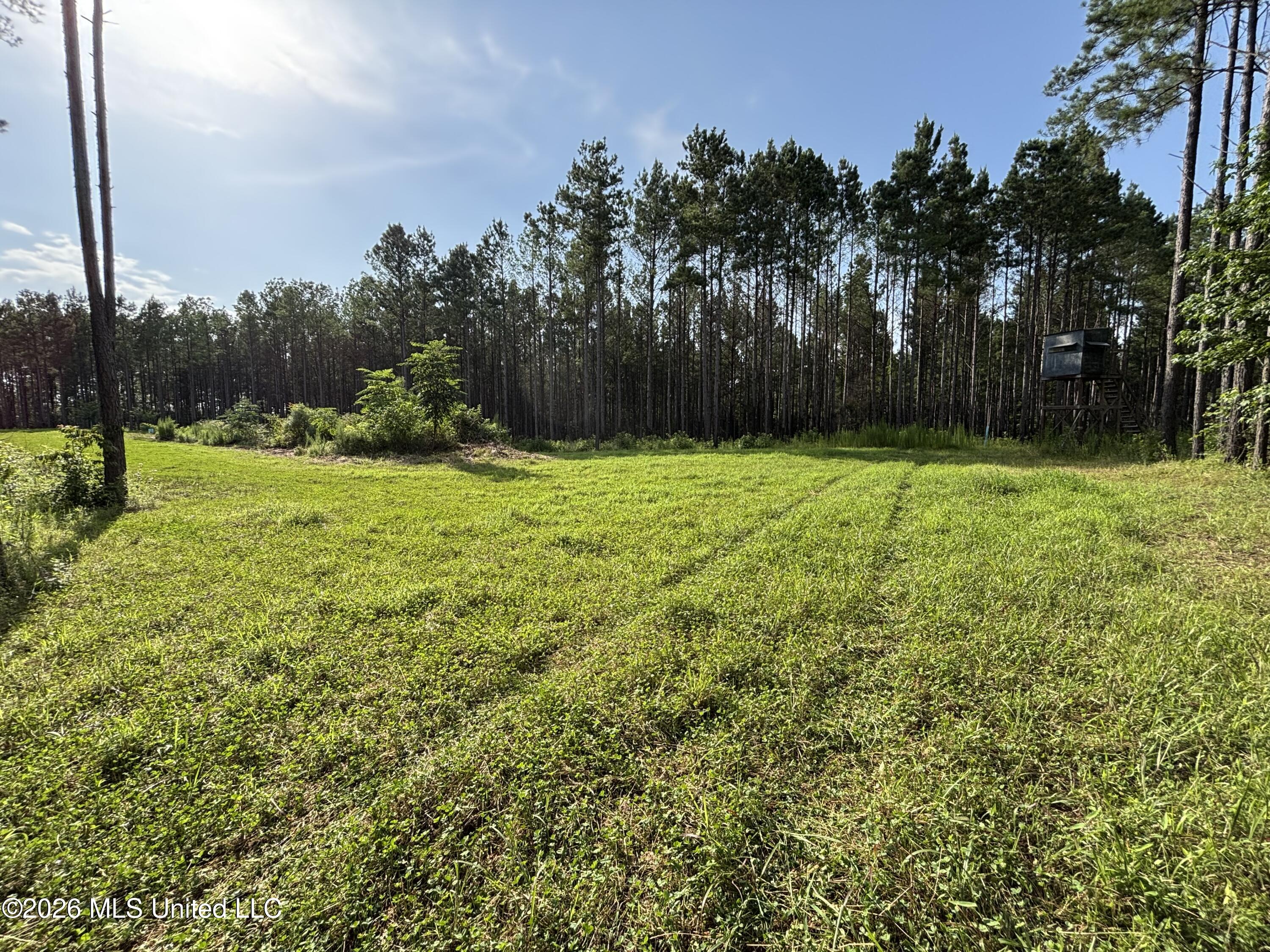 Loyd Irby Road Property Photo 44