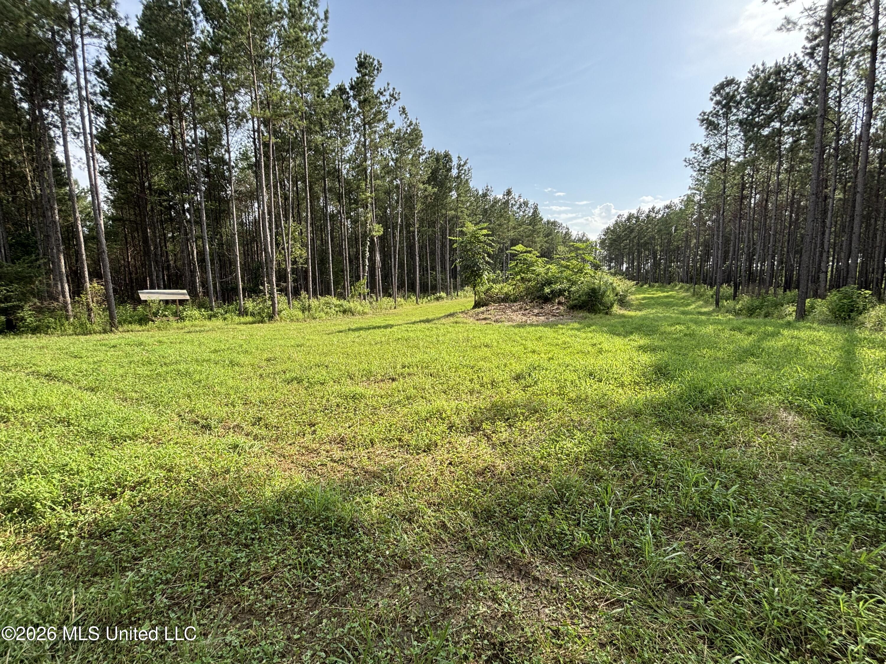 Loyd Irby Road Property Photo 45