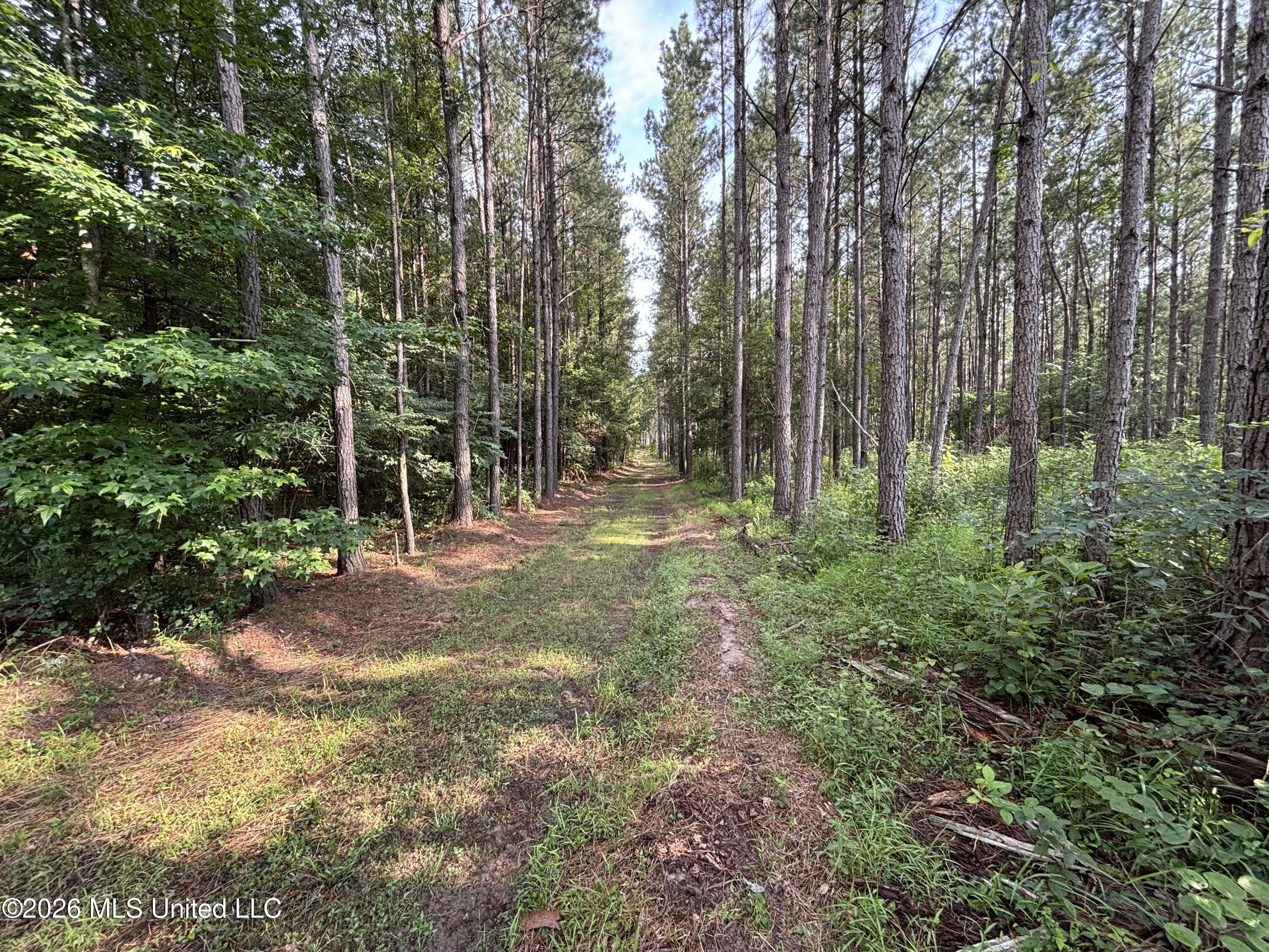 Loyd Irby Road Property Photo 46