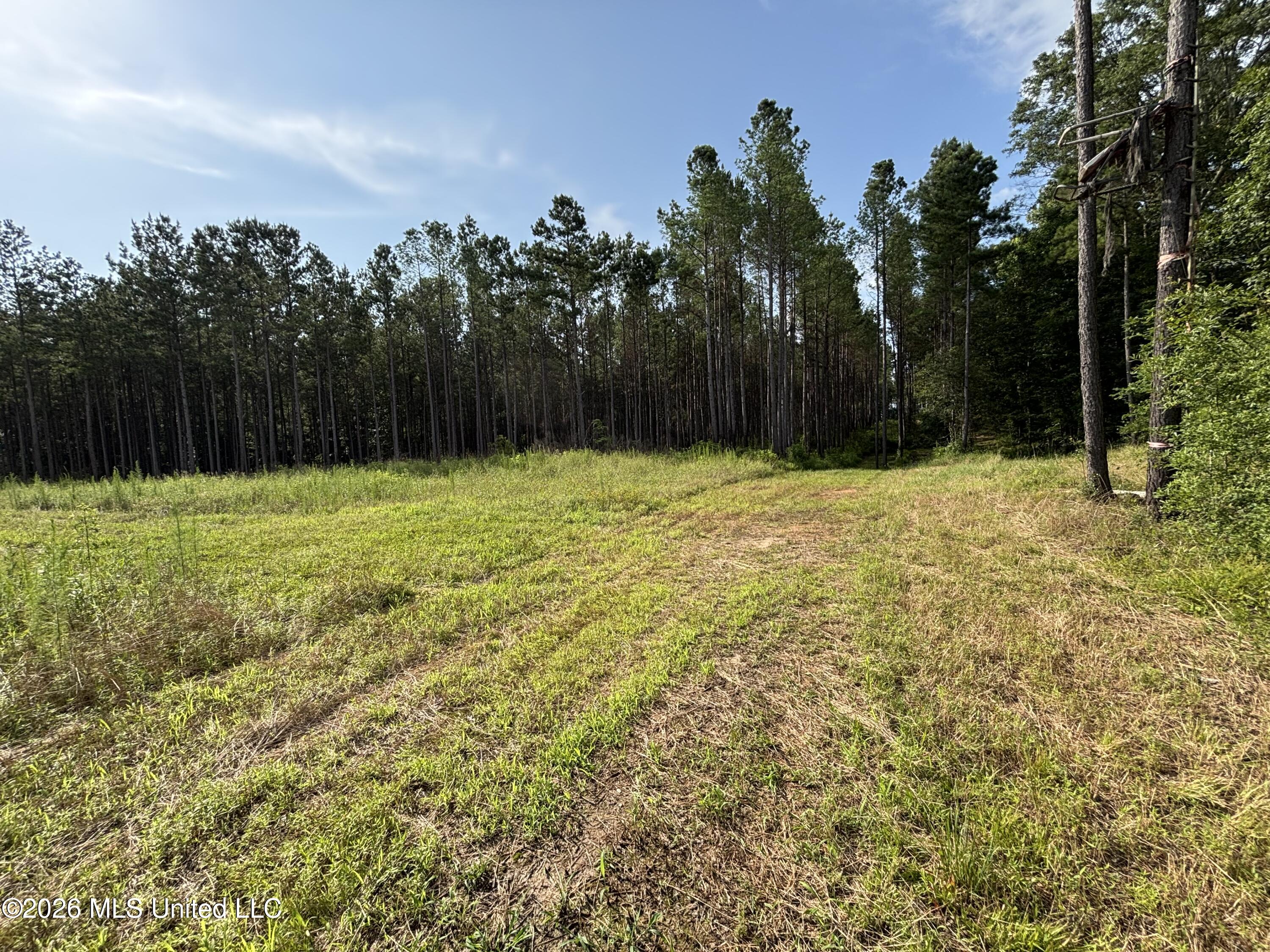Loyd Irby Road Property Photo 47