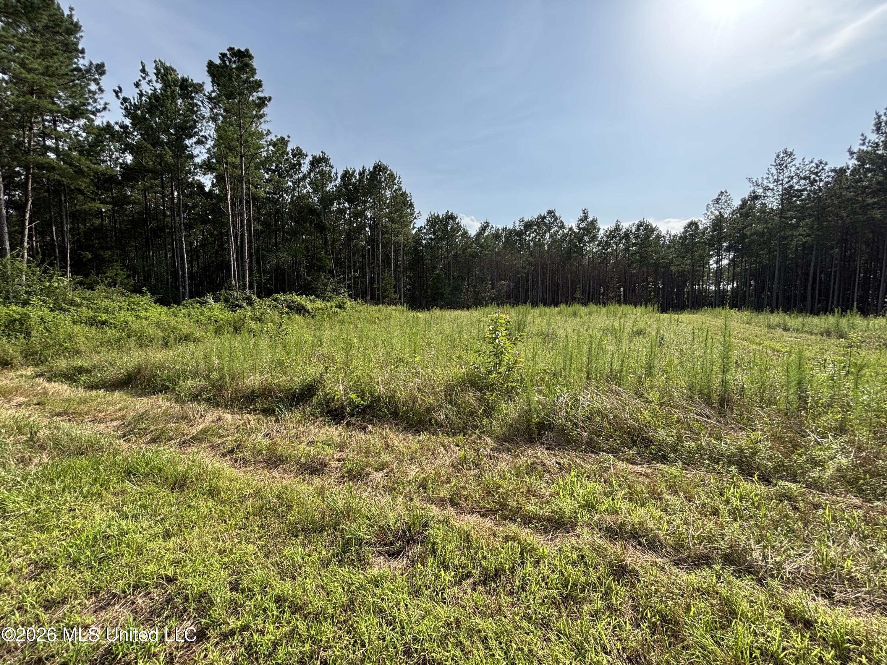 Loyd Irby Road Property Photo 48