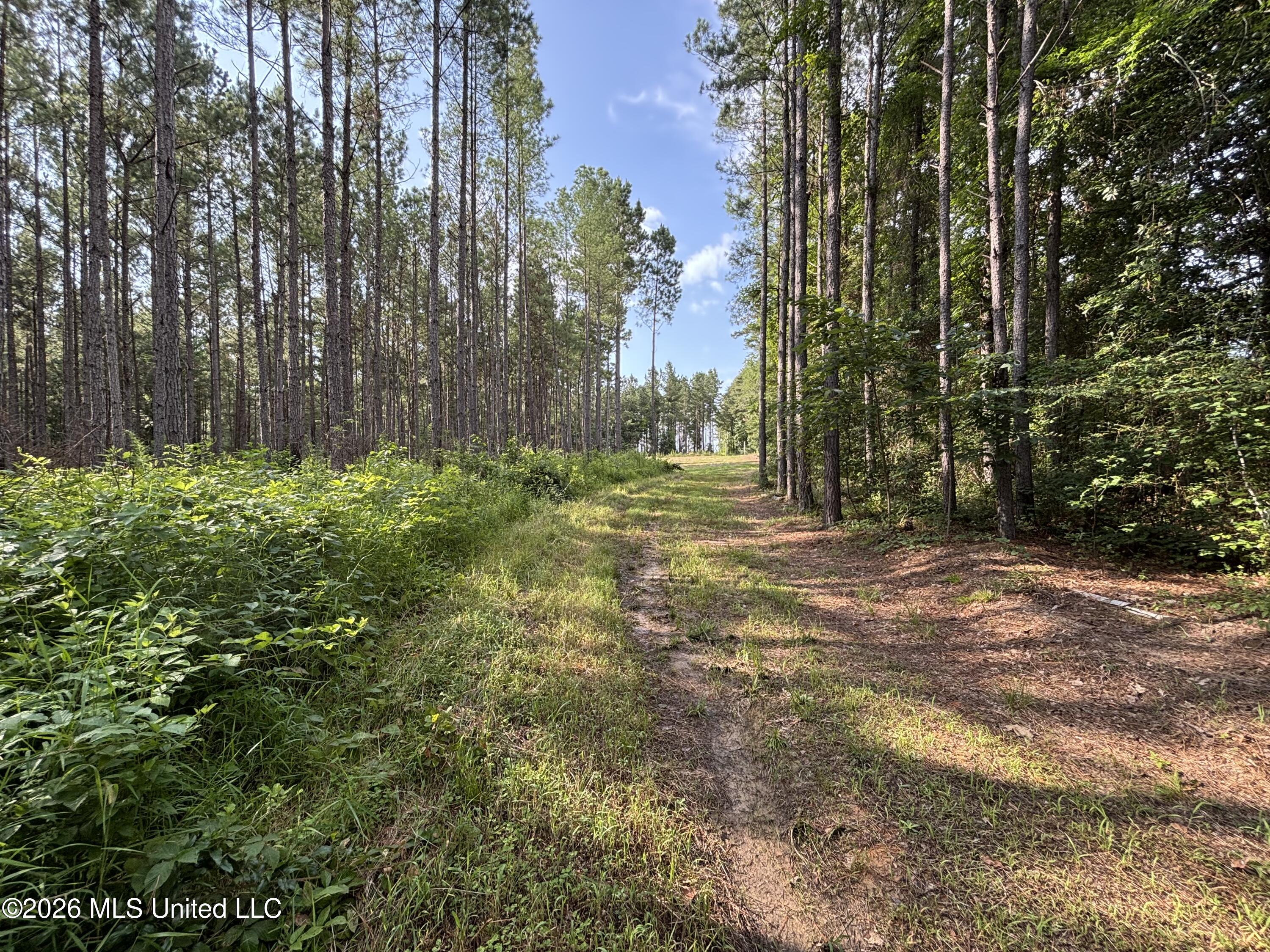 Loyd Irby Road Property Photo 49