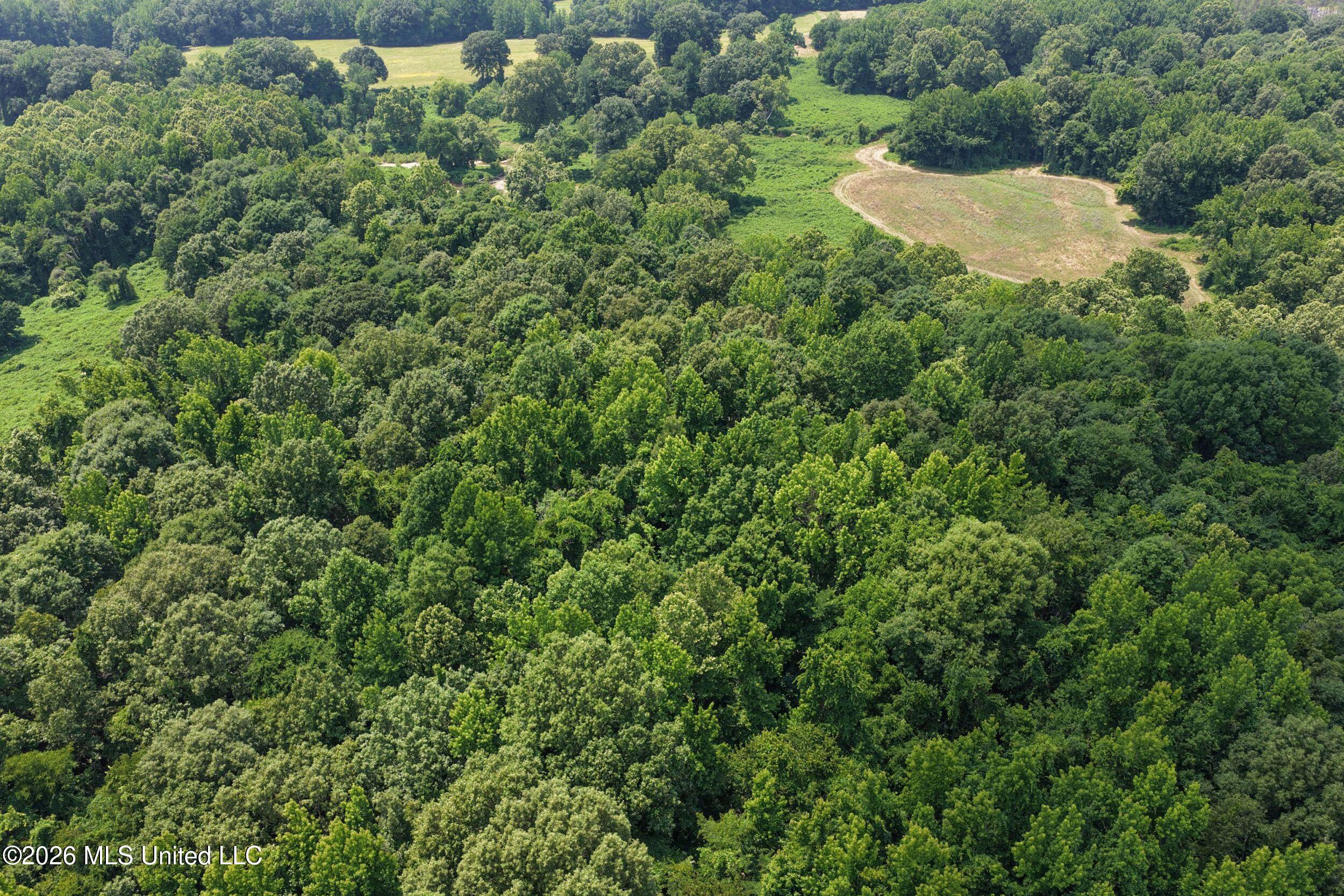 884 Avant Road Property Photo 20