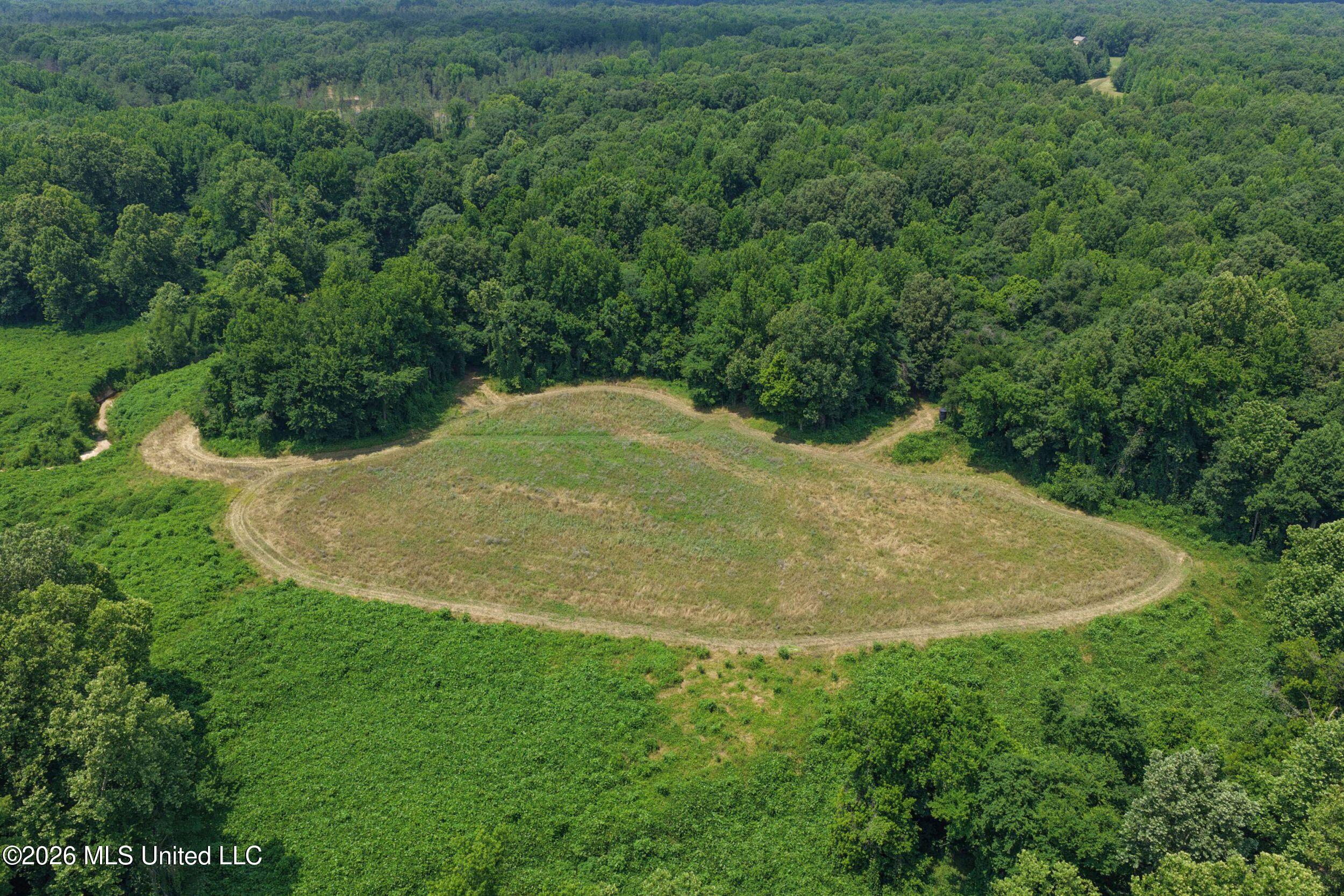 884 Avant Road Property Photo 23