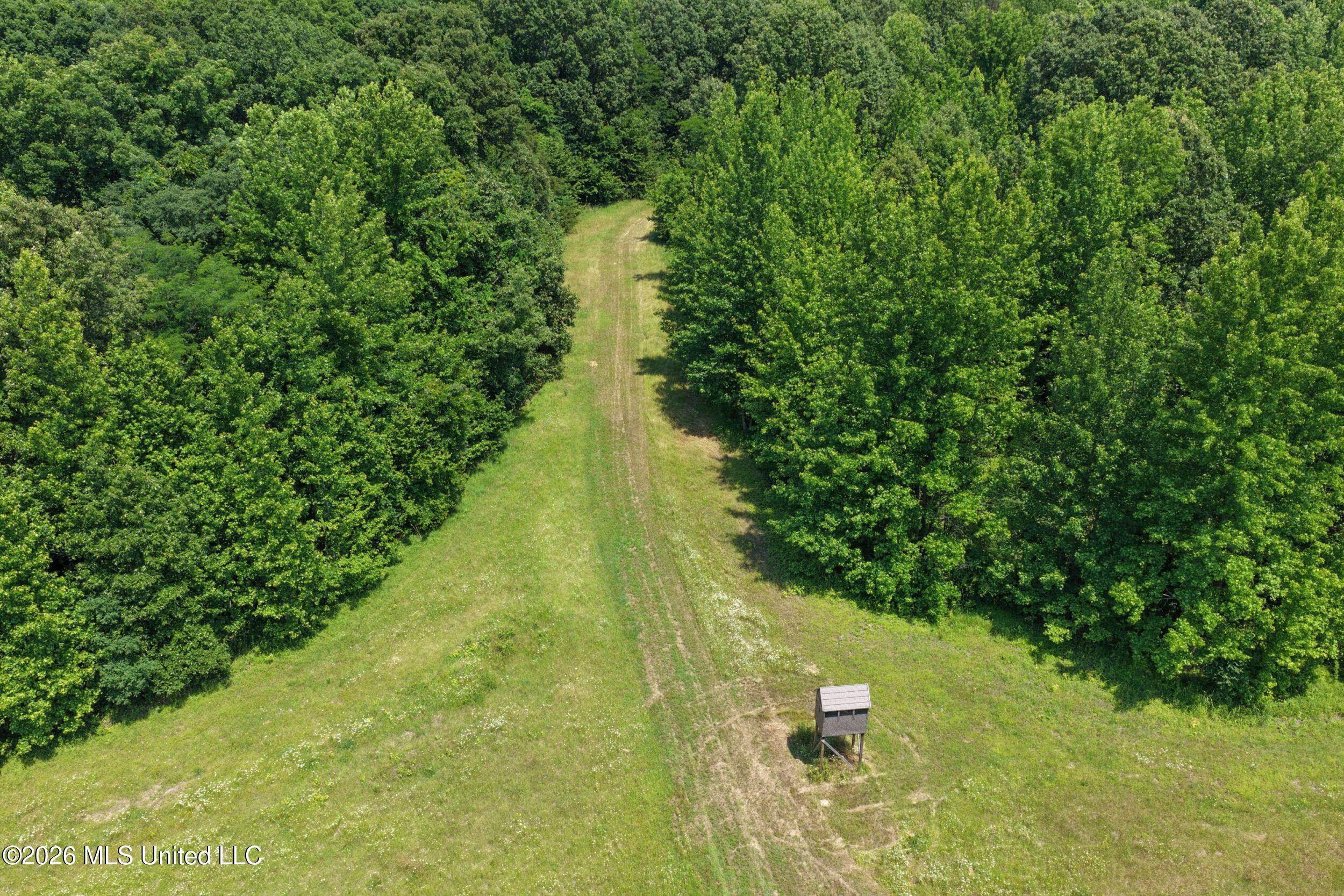 884 Avant Road Property Photo 37