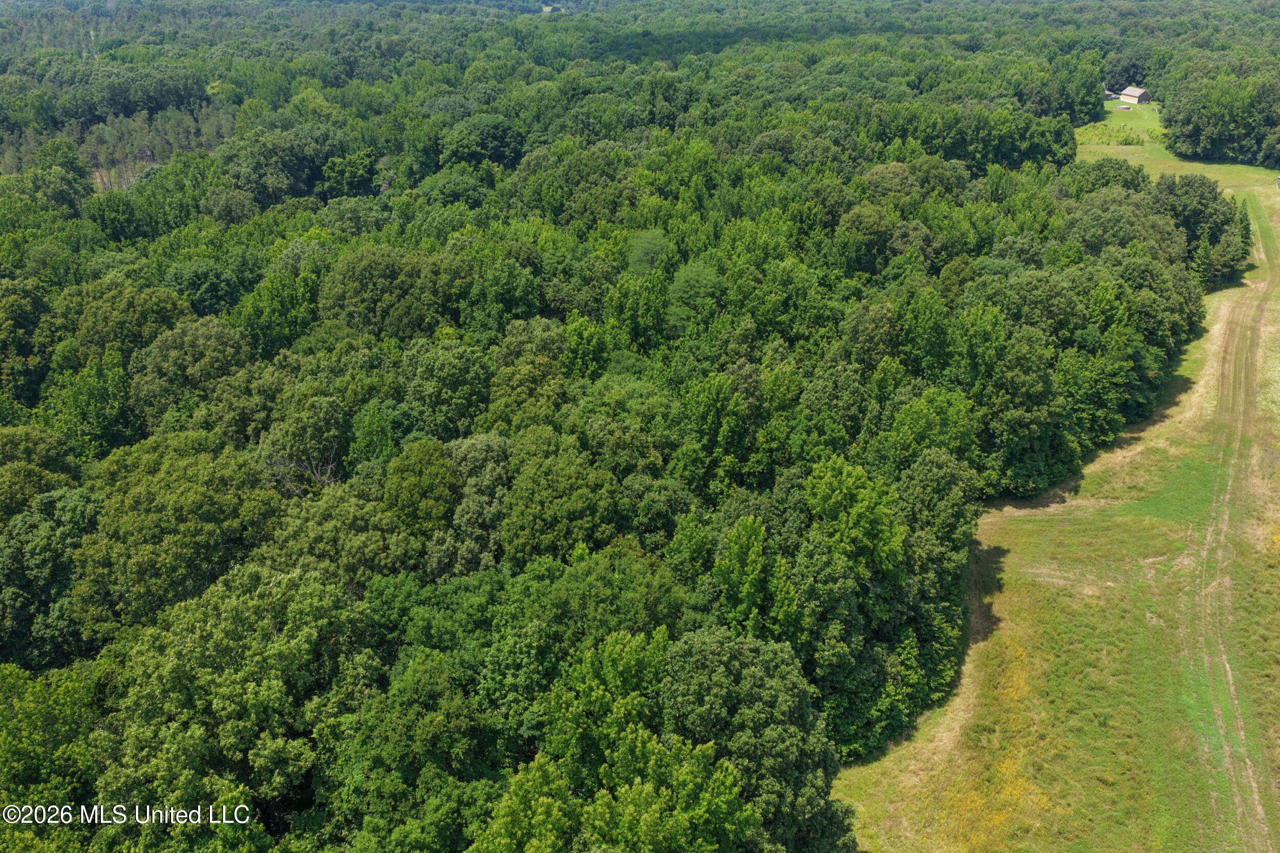 884 Avant Road Property Photo 39
