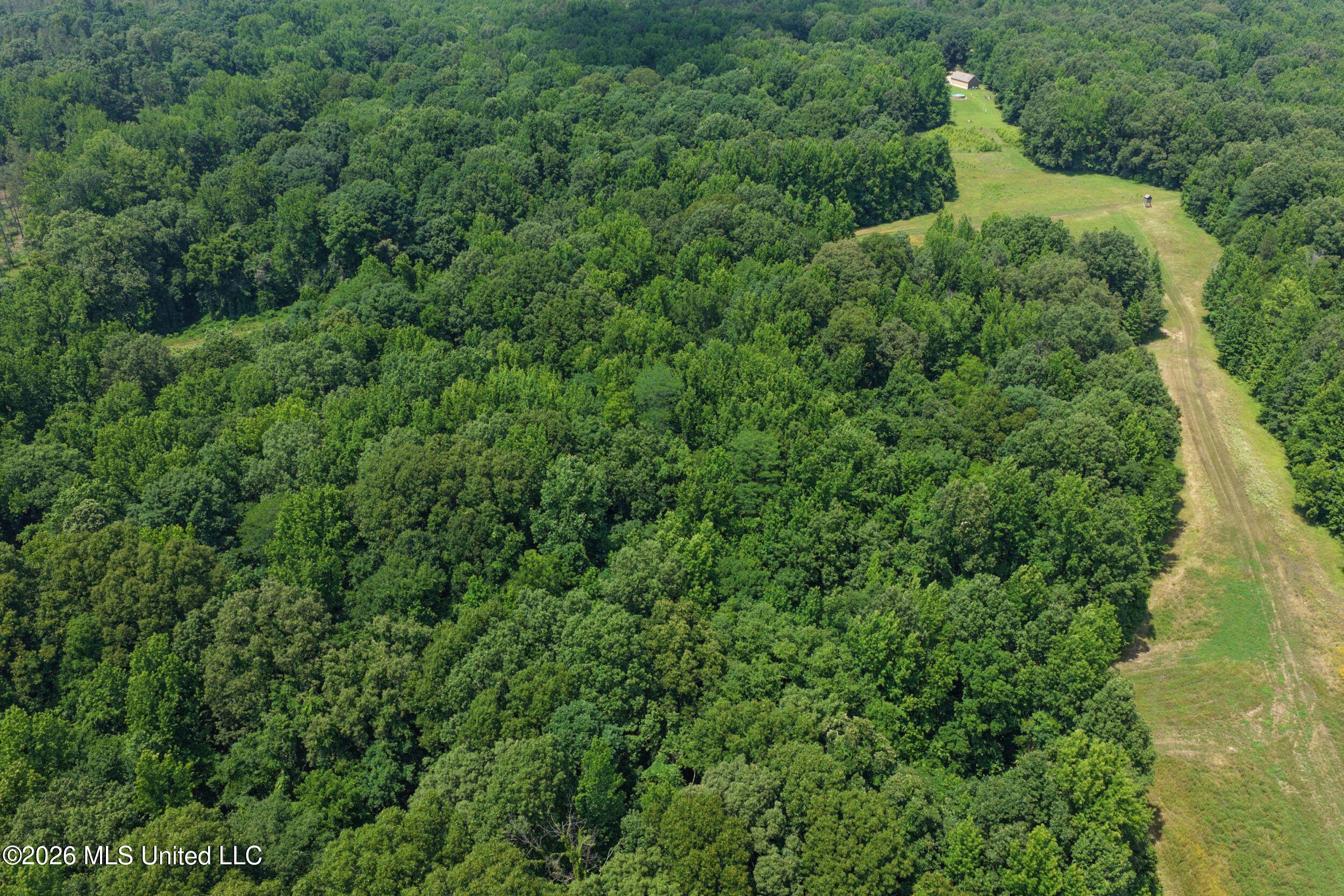 884 Avant Road Property Photo 40