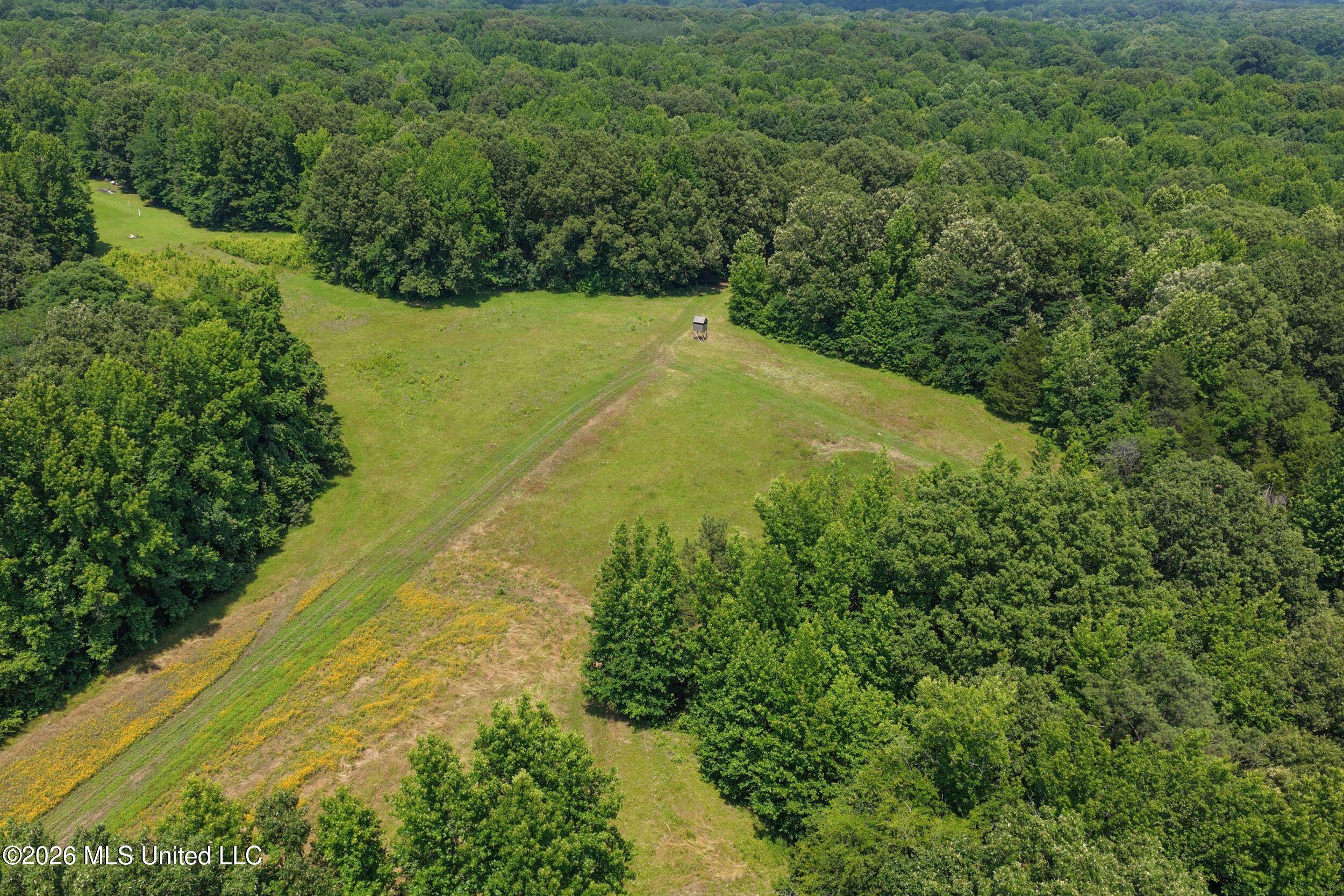 884 Avant Road Property Photo 43