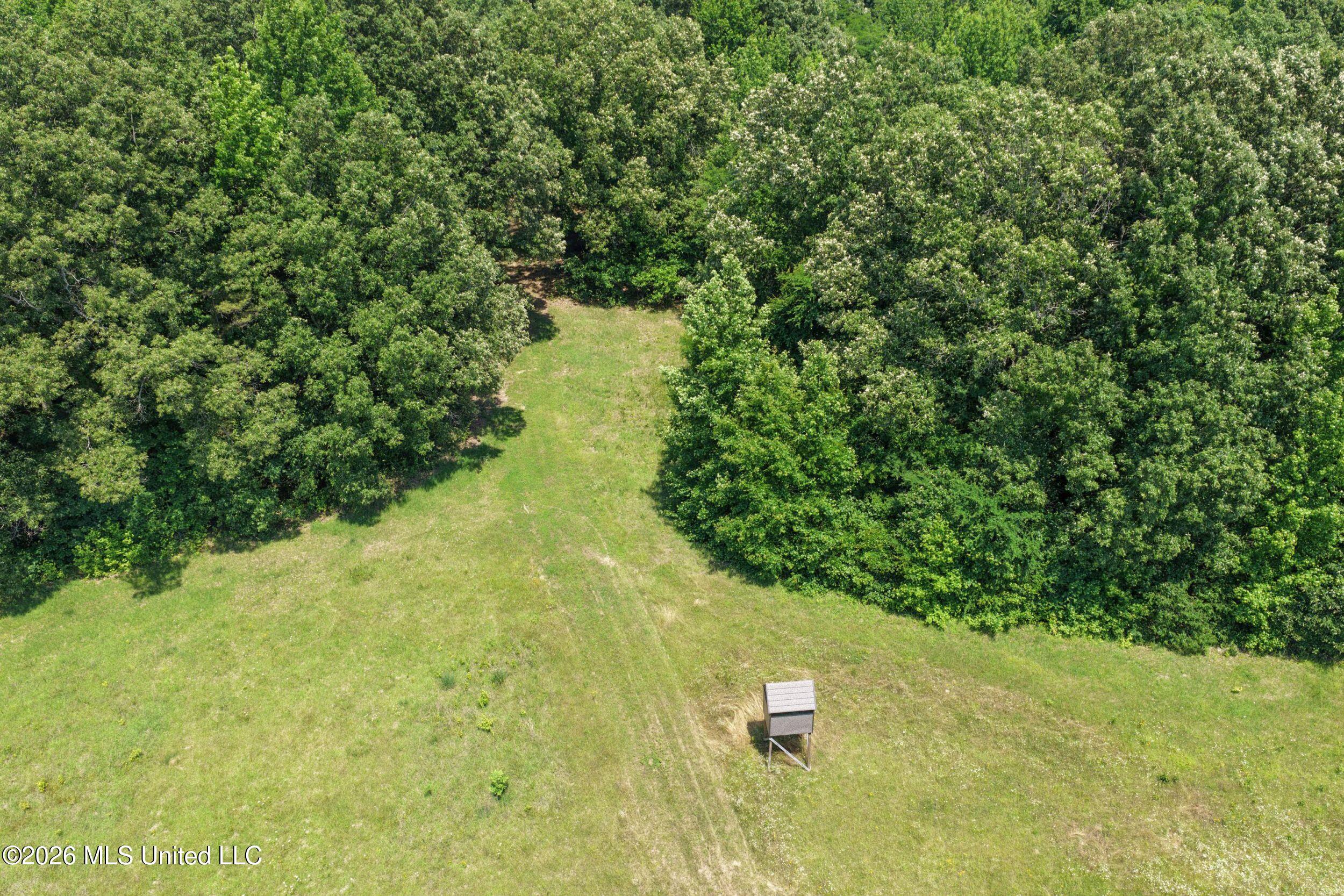 884 Avant Road Property Photo 44